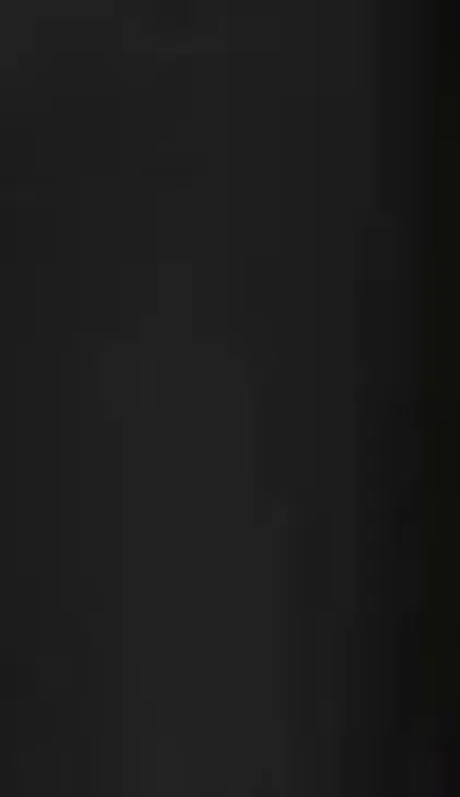 La Sirene - Romantics Skirt Midi In Multiple Colors sold by Jessie Boutique product image thumbnail 3