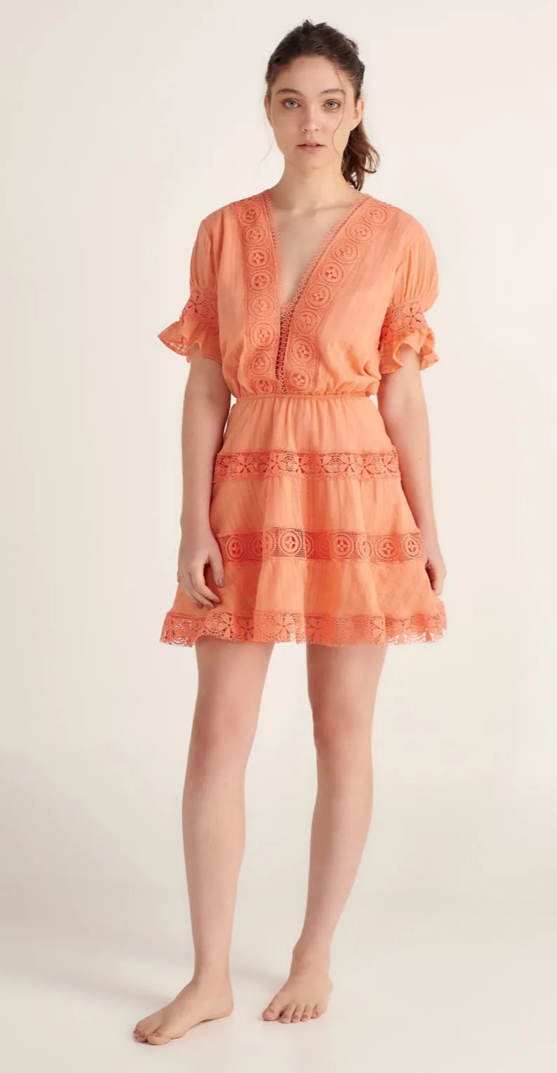 Peixoto - Ora Dress - Clementine Crush sold by Jessie Boutique