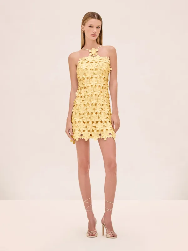 Alexis - Lily Dress - Lemon sold by Jessie Boutique