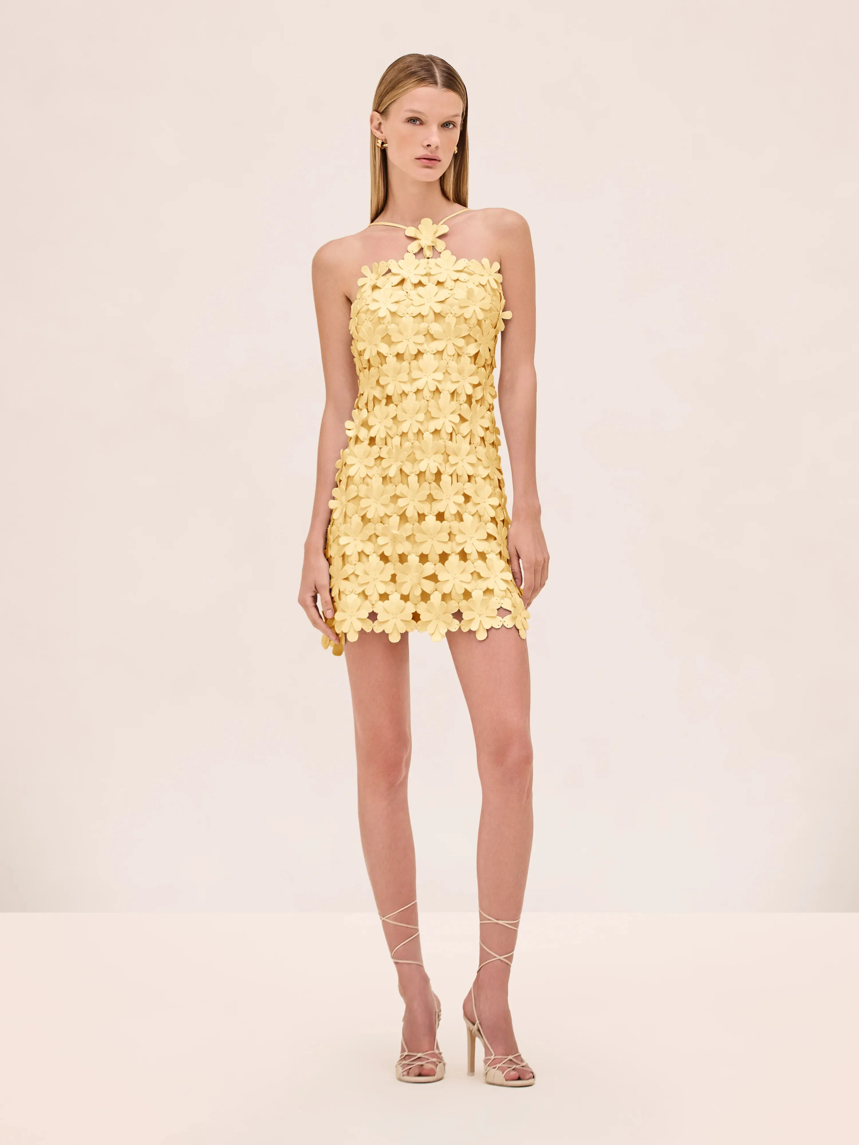 Alexis - Lily Dress - Lemon sold by Jessie Boutique
