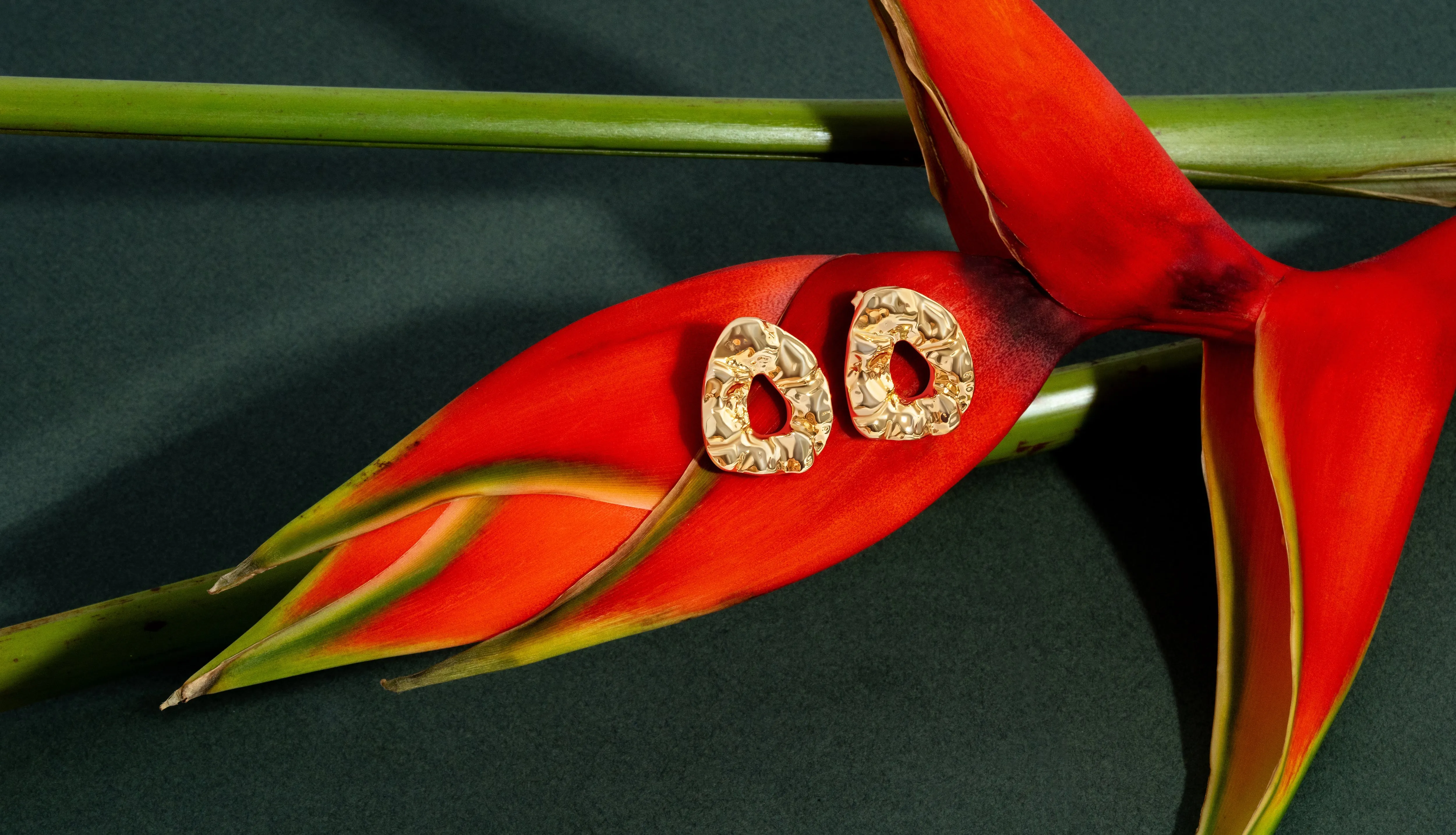 Denise Pacini - Nathalia Earrings sold by Jessie Boutique product image thumbnail 4