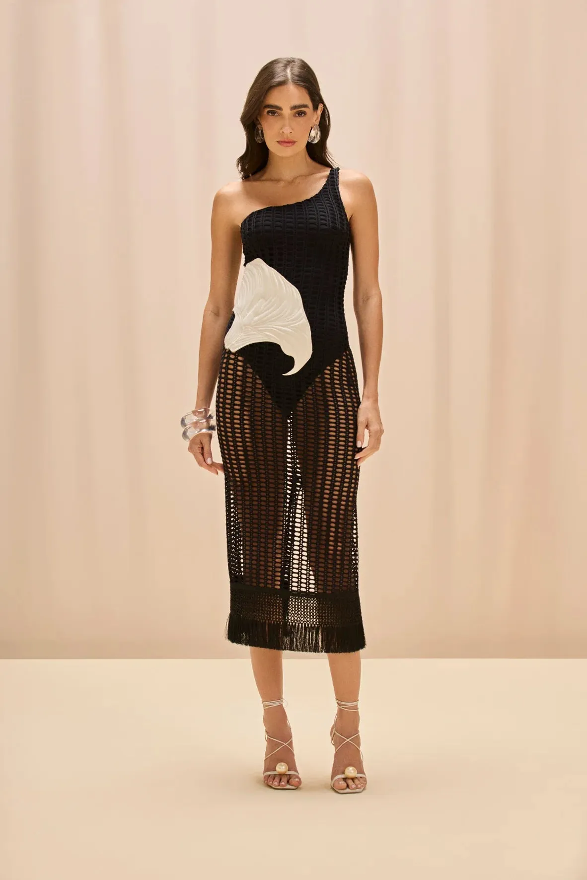 Patbo - Selene Mesh Printed Beach Dress - Black sold by Jessie Boutique