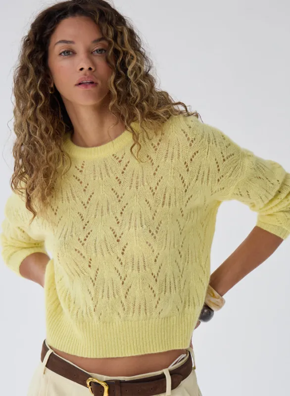 Autumn Cashmere - Allover Pointelle Crew - Daffodil sold by Jessie Boutique