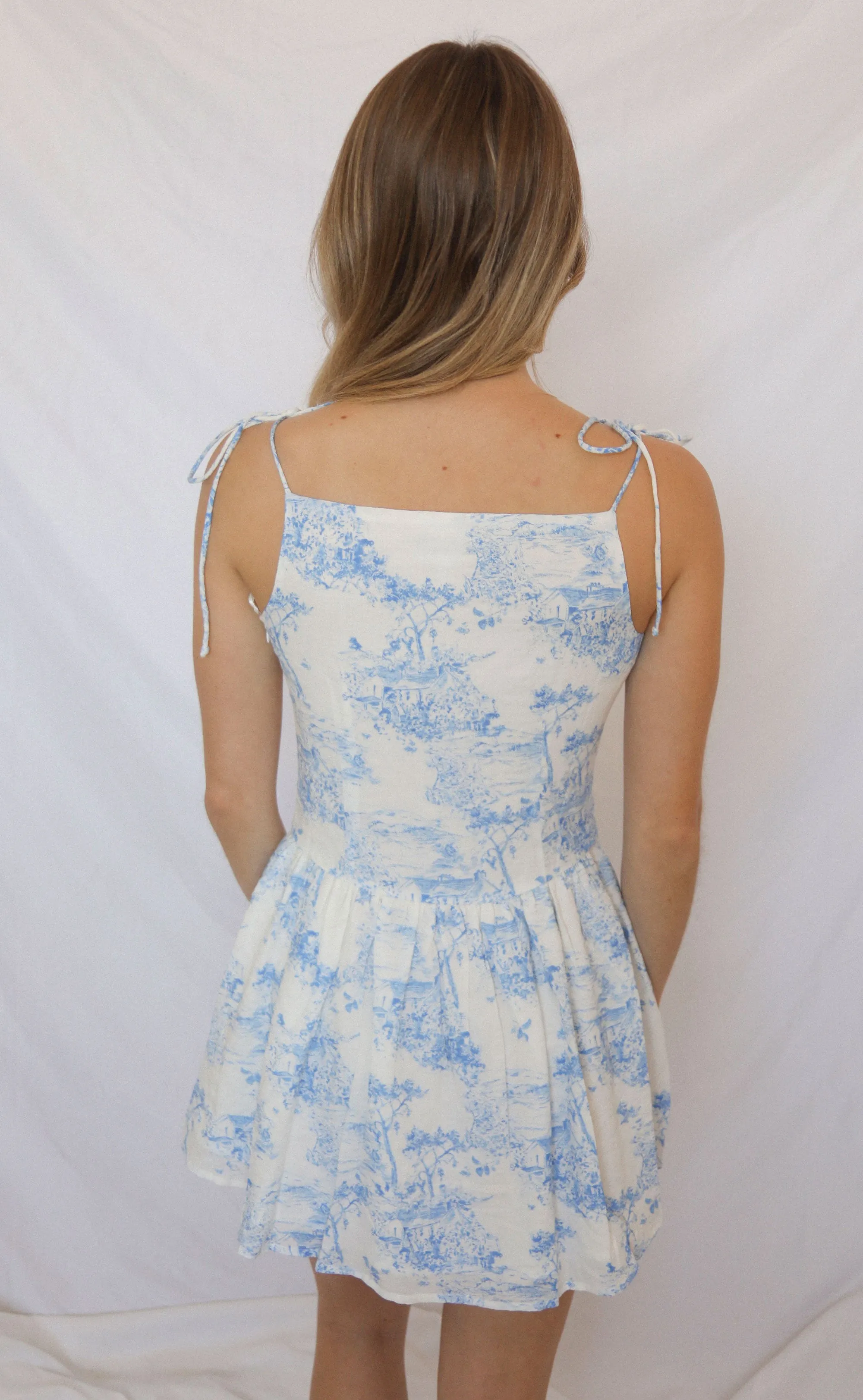 birds of a feather mini dress - chinoiserie sold by RIFFRAFF product image thumbnail 4