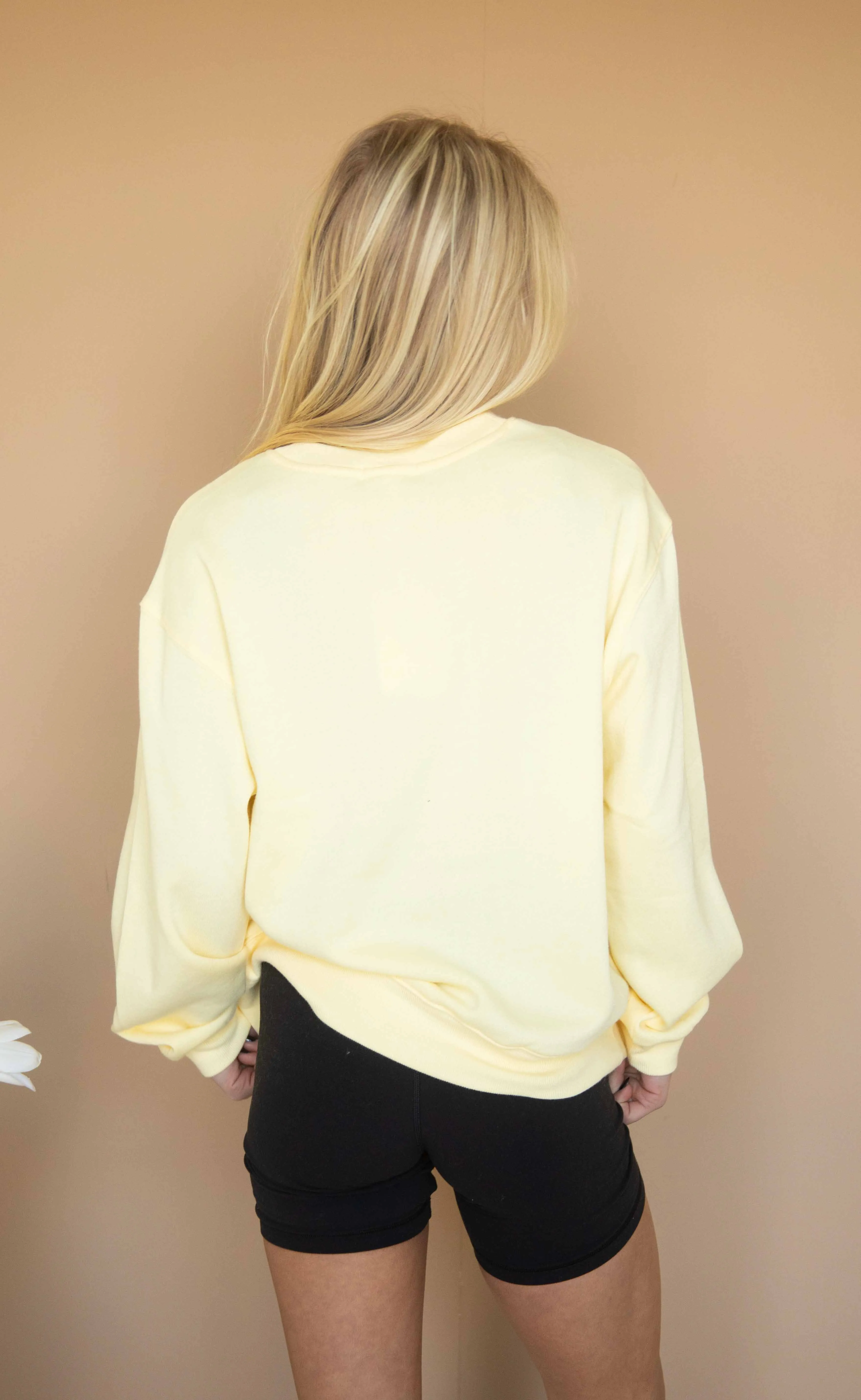 z supply: boyfriend sweatshirt - sunnyside sold by RIFFRAFF product image thumbnail 3