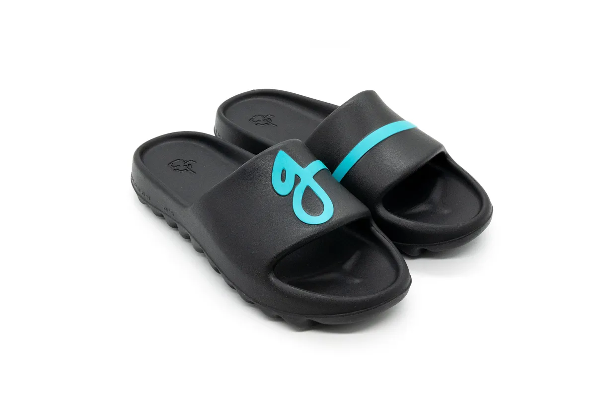 Black/Teal Geiger Slides made by John Geiger