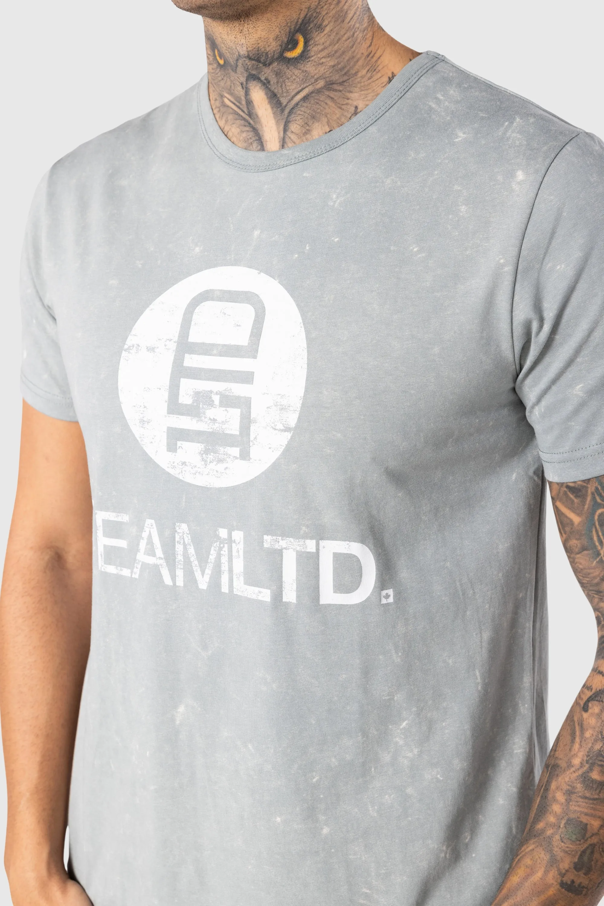 Logo Tee sold by TEAMLTD product image thumbnail 3
