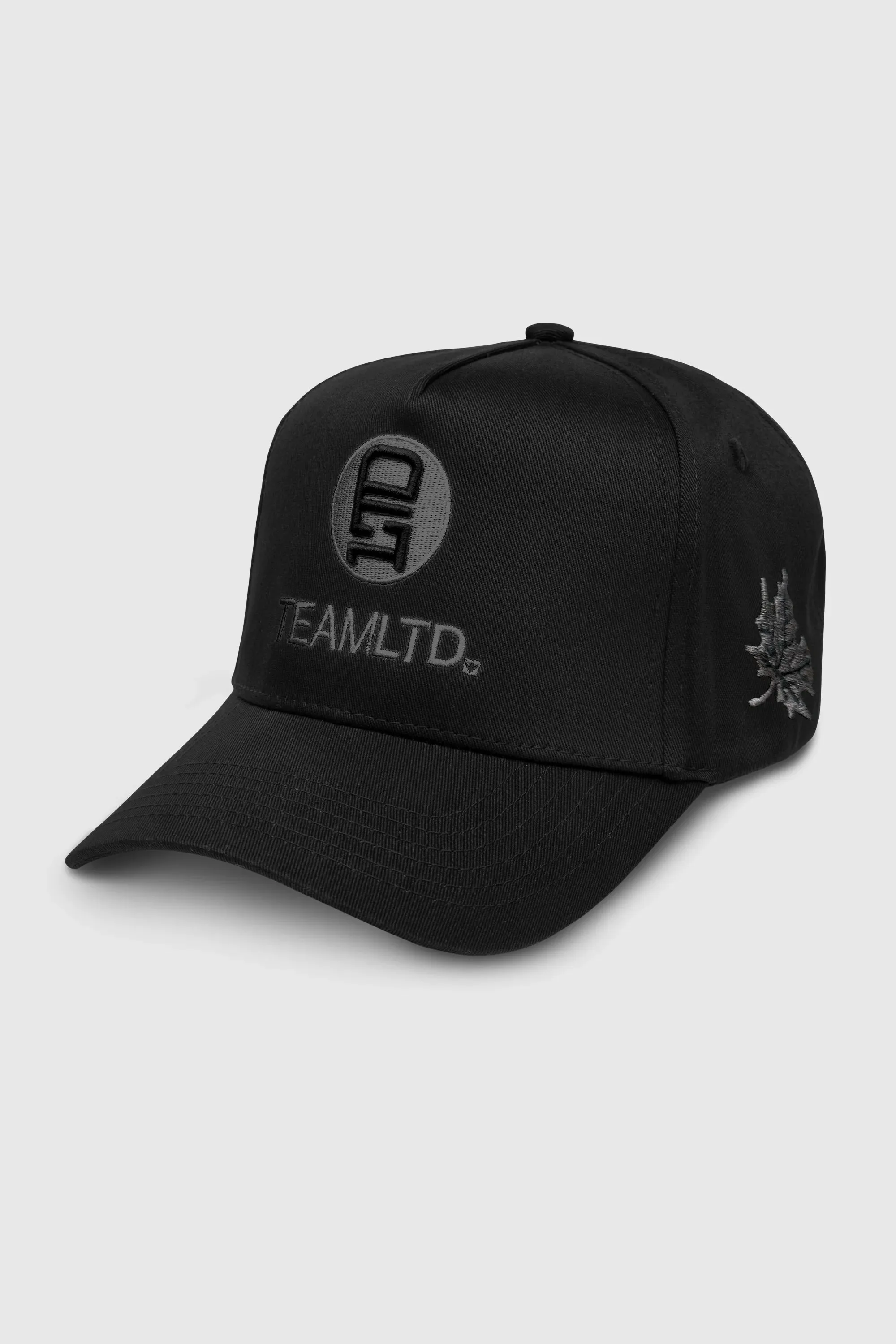 Blackout Logo Snapback sold by TEAMLTD product image thumbnail 4