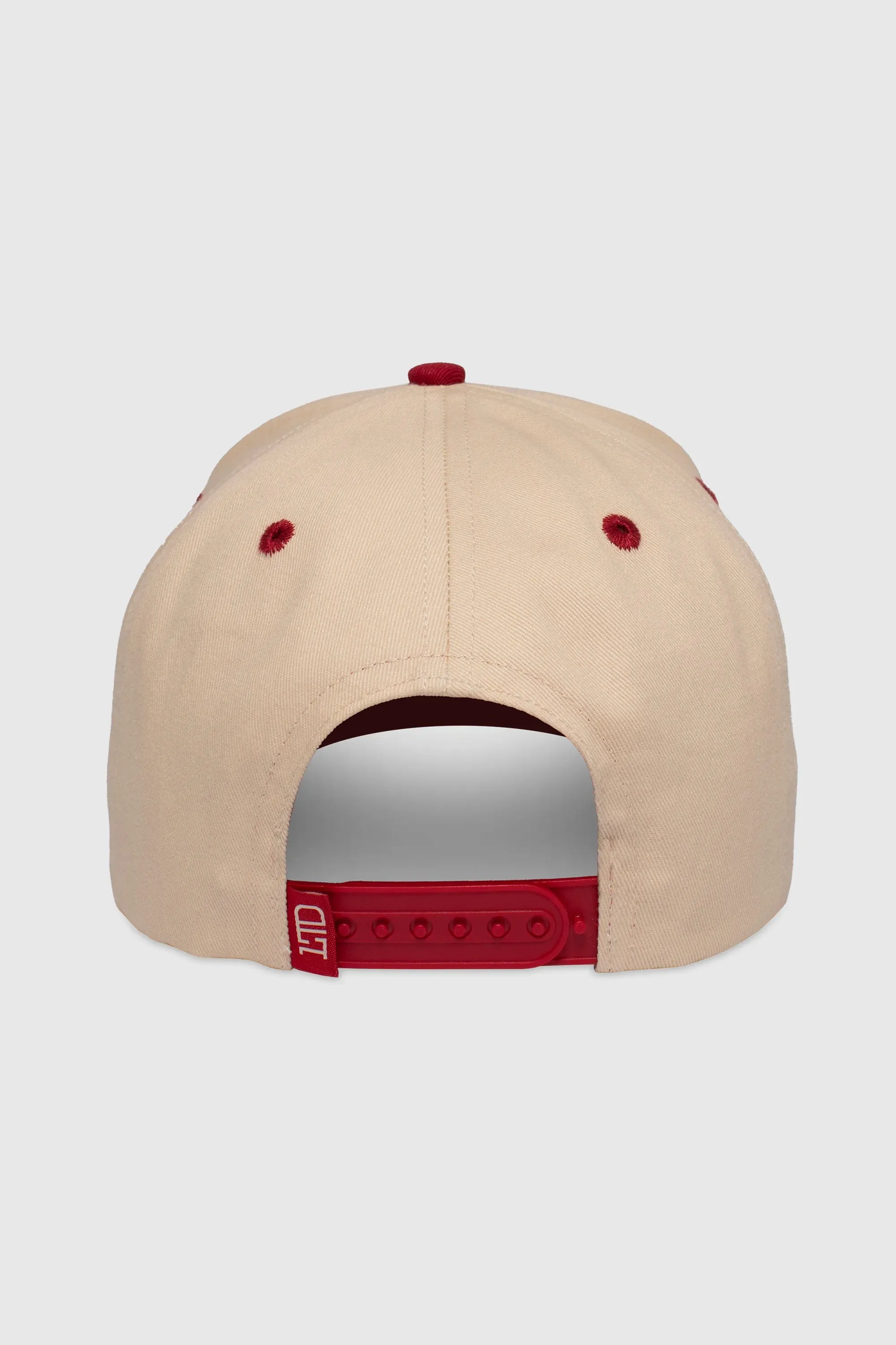 Mallard Snapback sold by TEAMLTD product image thumbnail 3