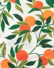 Clementine - Long Sleep Set - Cloud sold by Printfresh