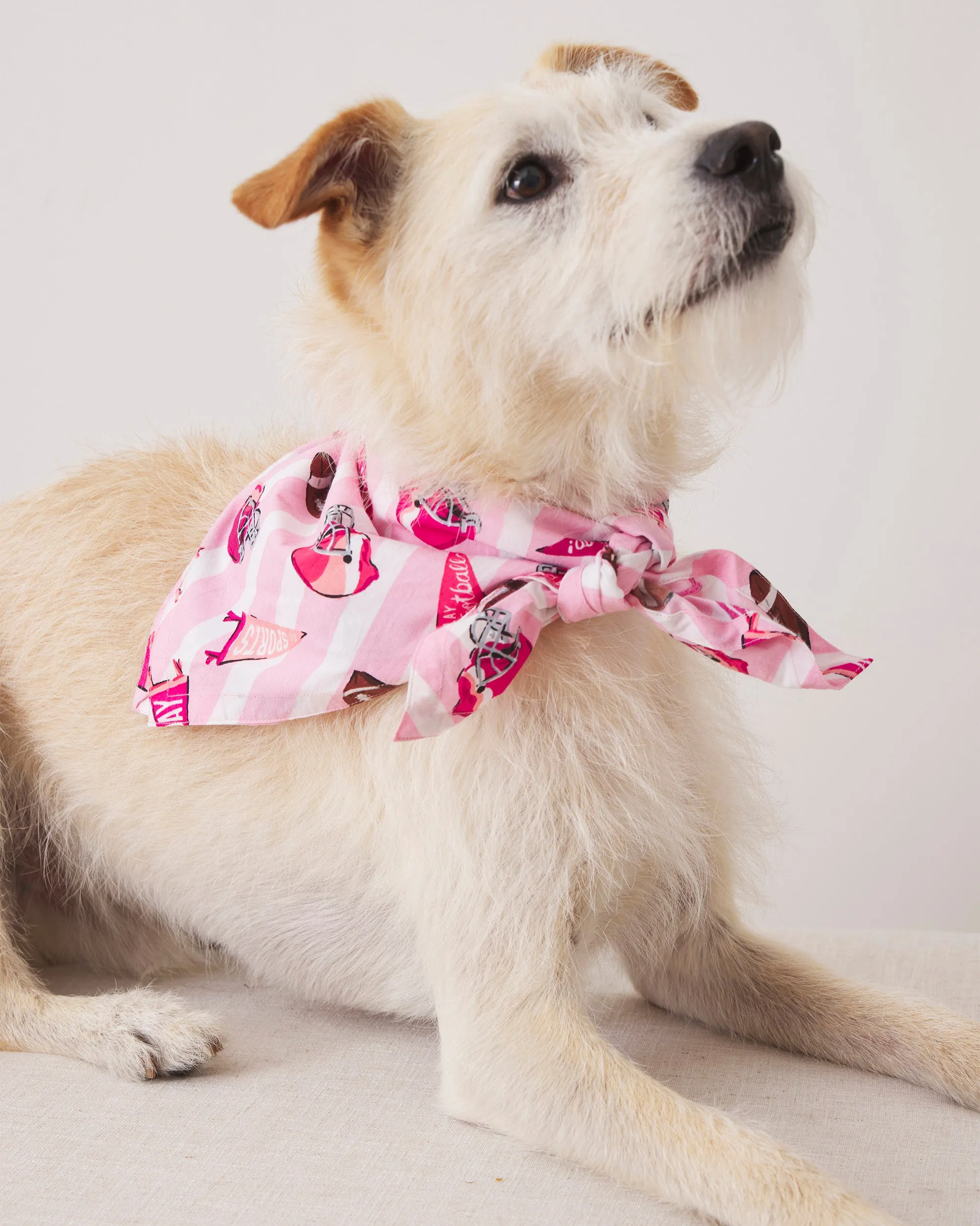 Game Day - Pet Bandana - Powder Puff sold by Printfresh product image thumbnail 4