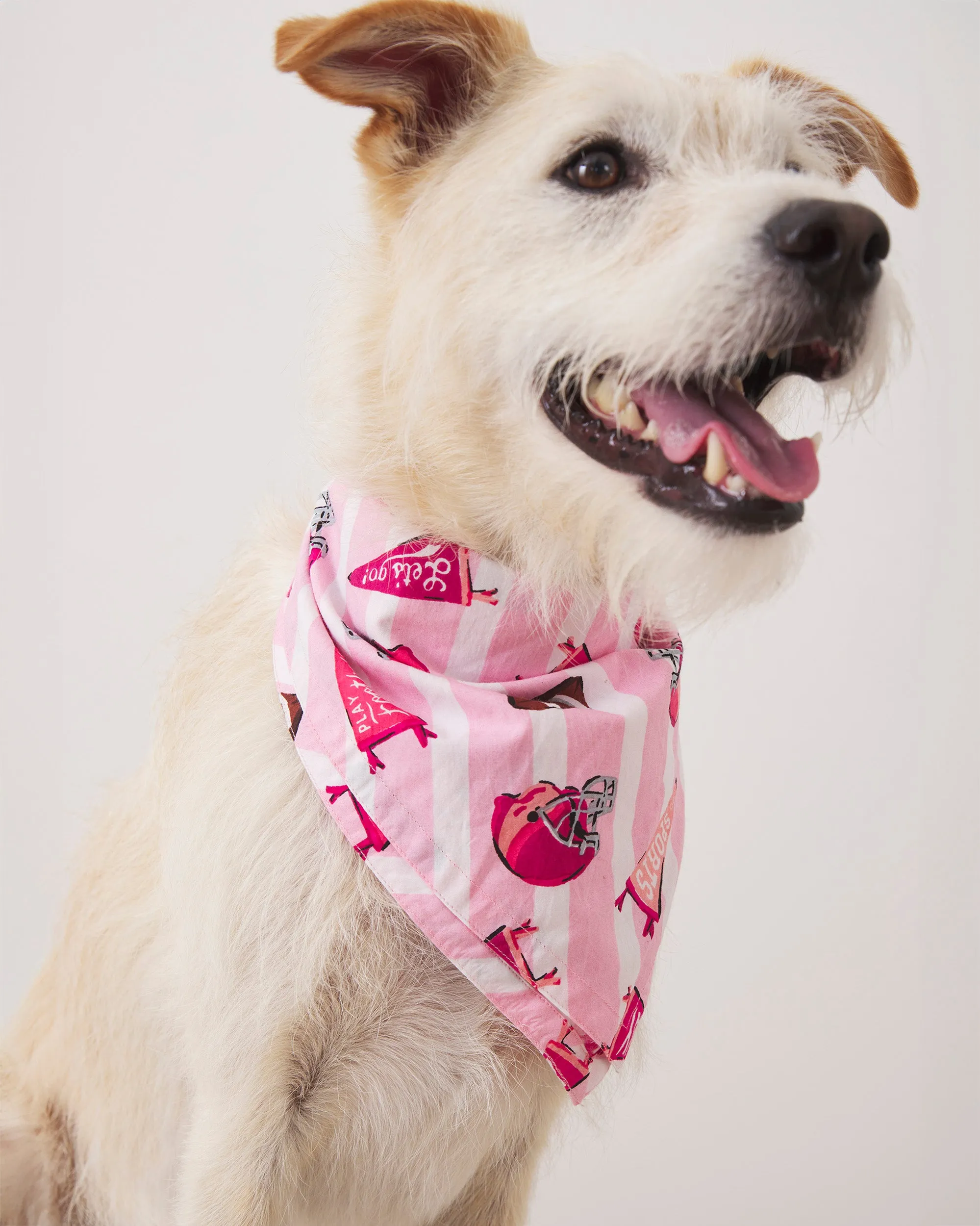 Game Day - Pet Bandana - Powder Puff sold by Printfresh