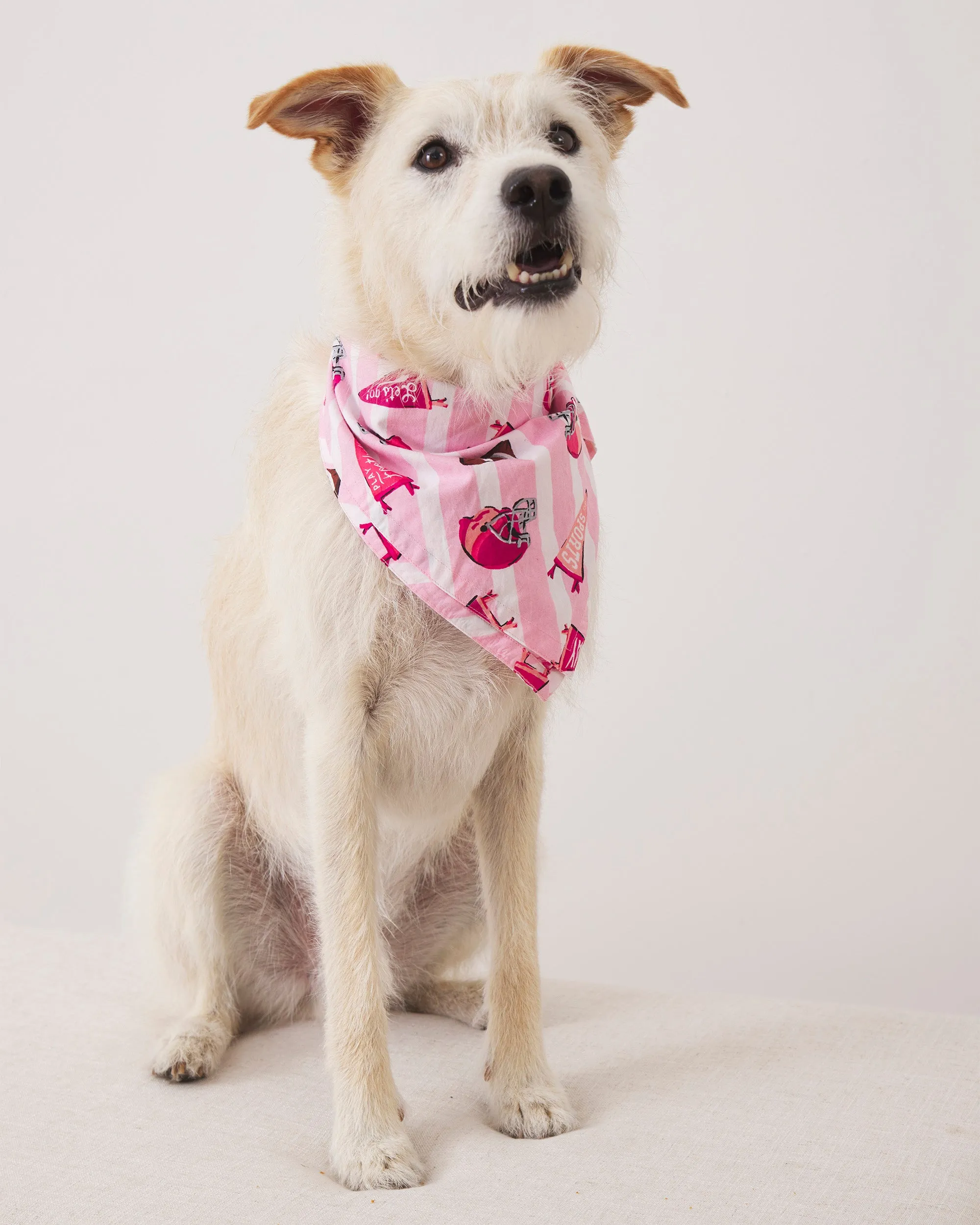 Game Day - Pet Bandana - Powder Puff sold by Printfresh product image thumbnail 3