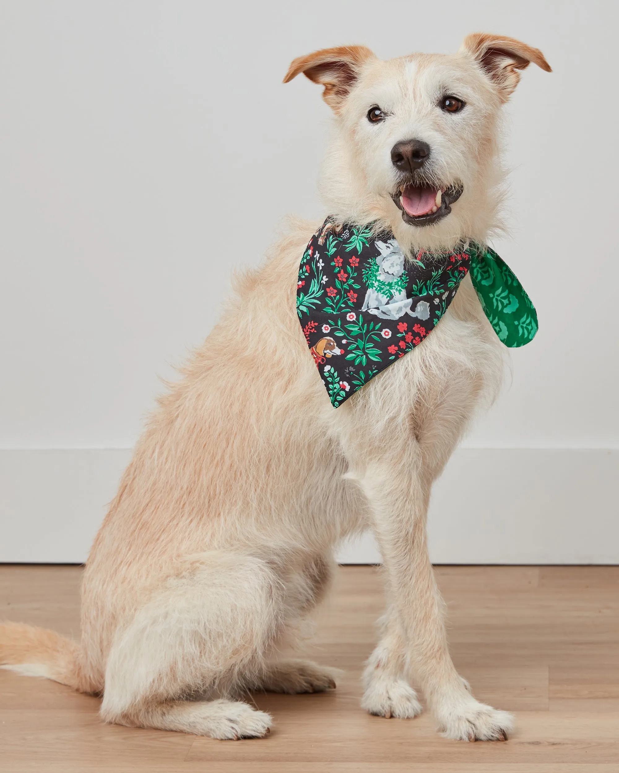 Happy Howlidays - Pet Bandana - Ink sold by Printfresh product image thumbnail 5