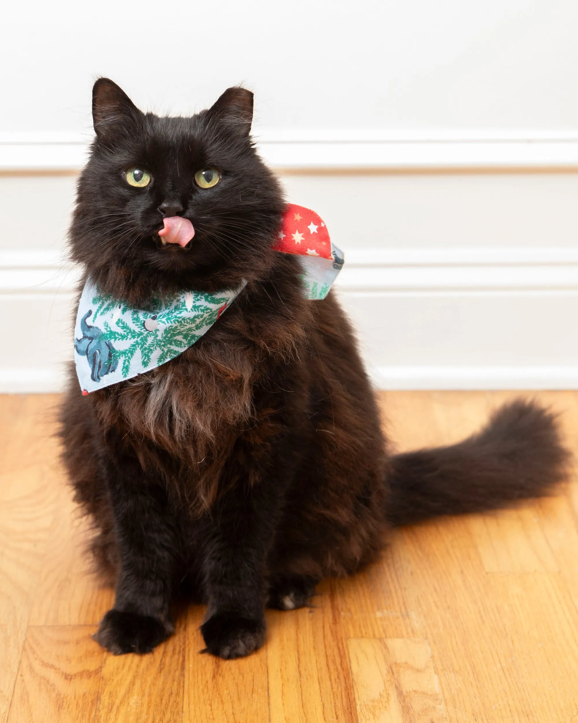 Frisky Firs - Lightweight Flannel Pet Bandana - Twinkling Blue sold by Printfresh product image thumbnail 5