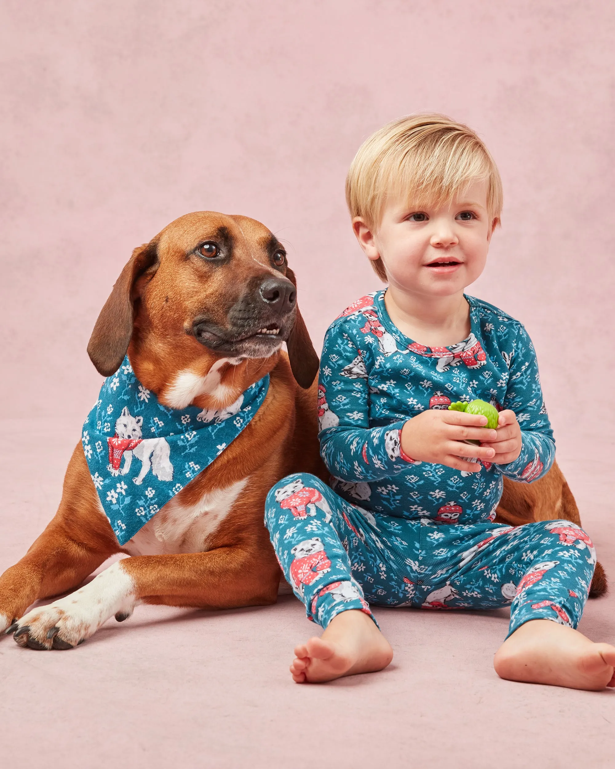 Bundled Up - Lightweight Flannel Pet Bandana - Navy sold by Printfresh product image thumbnail 2