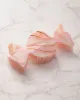 Peppermint Bonbon - Hand-Painted Claw Hair Clip - Solar Eclipse sold by Printfresh