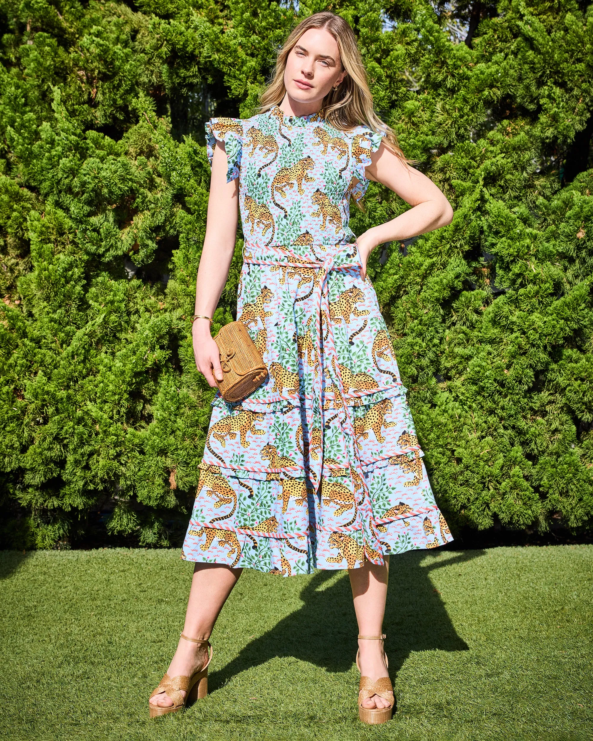 Bagheera - Ready to Ruffle Dress - Pale Blue sold by Printfresh product image thumbnail 2