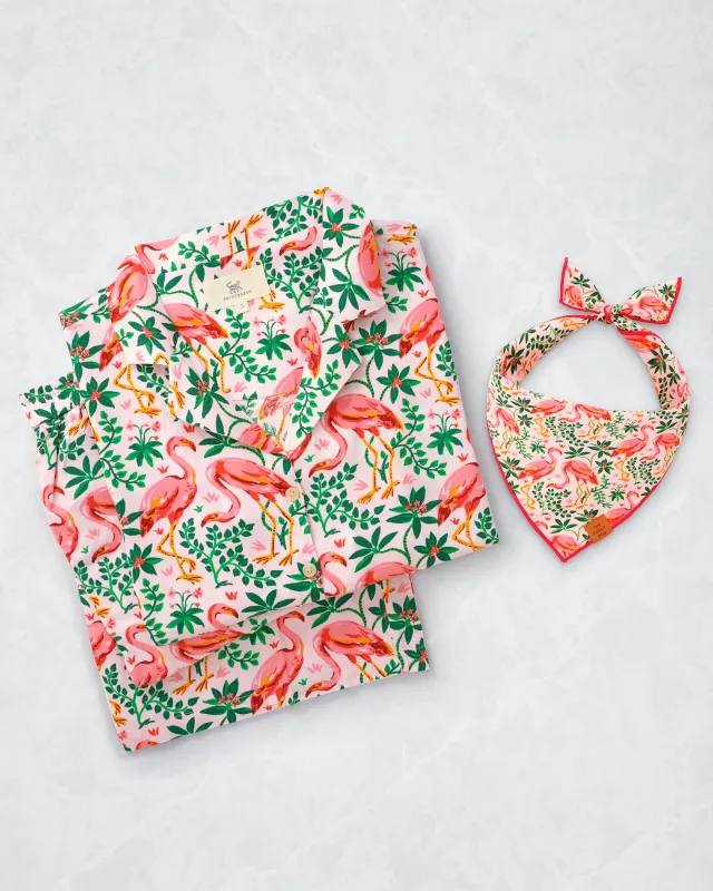 PF x The Foggy Dog Flock of Flamingos - Wildest Dreams Set & Dog Bandana Bundle - Rose sold by Printfresh