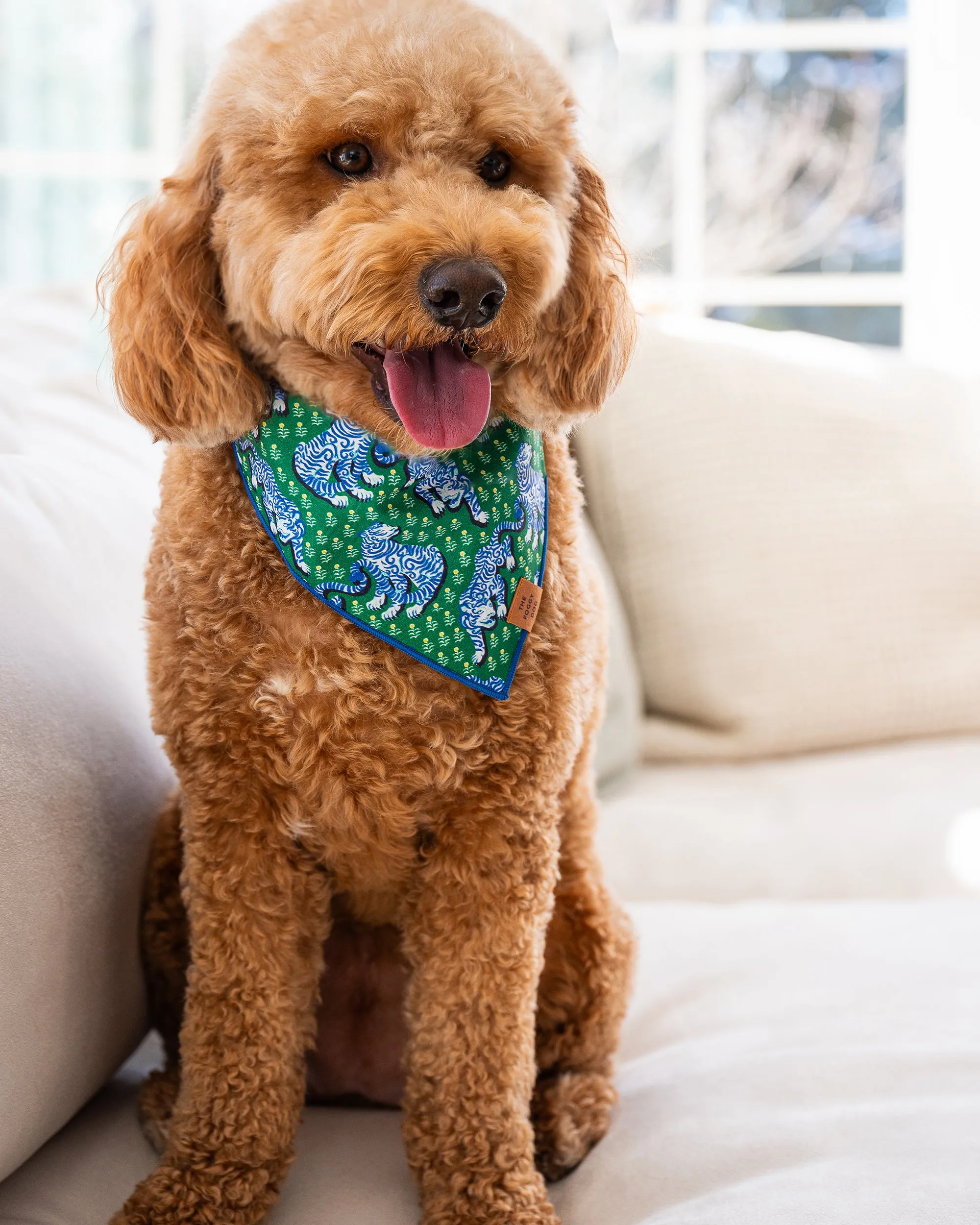 PF x The Foggy Dog Tiger Queen - Short Set & Dog Bandana Bundle - Multi sold by Printfresh product image thumbnail 3