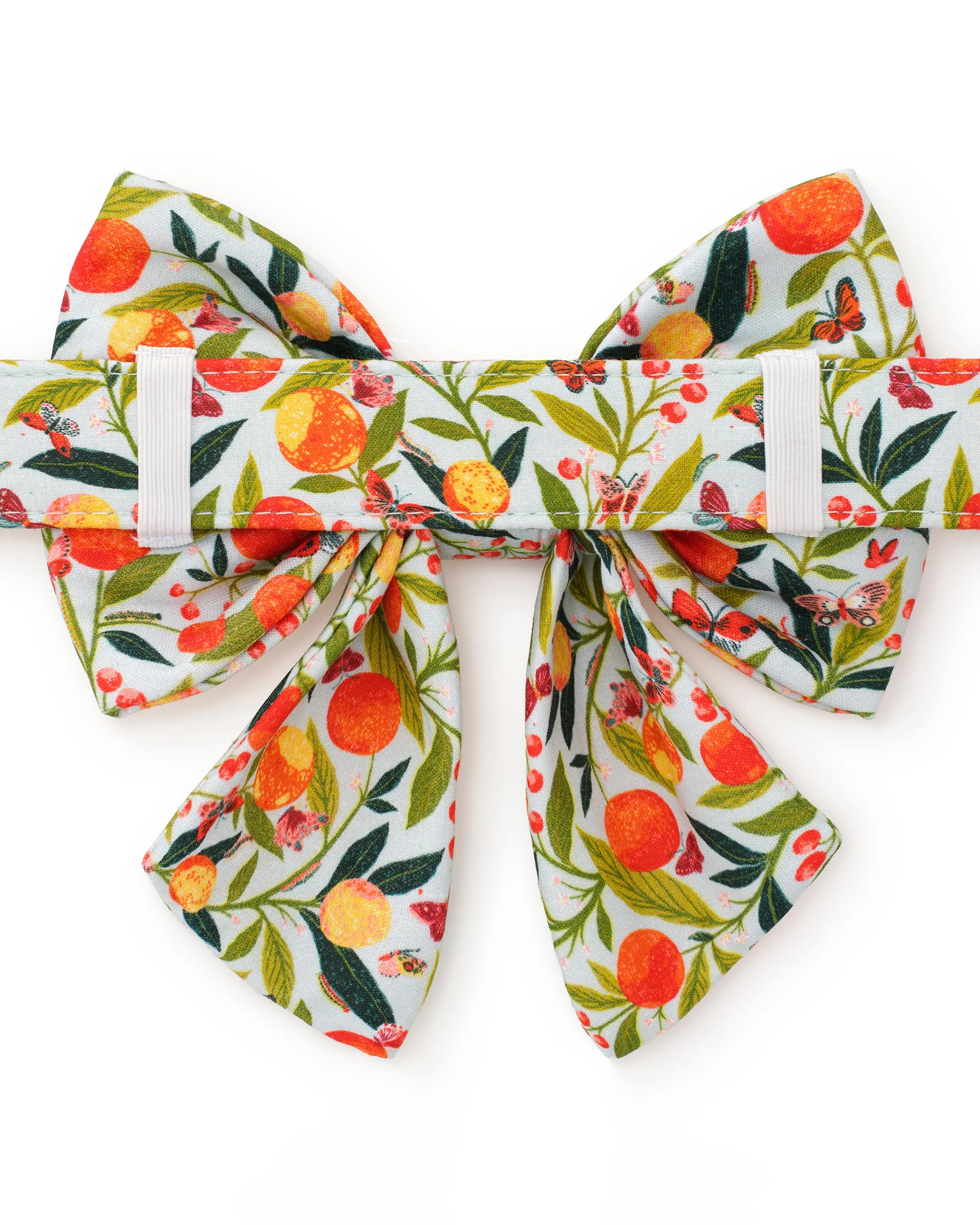 PF x The Foggy Dog Butterfly Grove - Lady Dog Bow - Soft Blue sold by Printfresh product image thumbnail 4