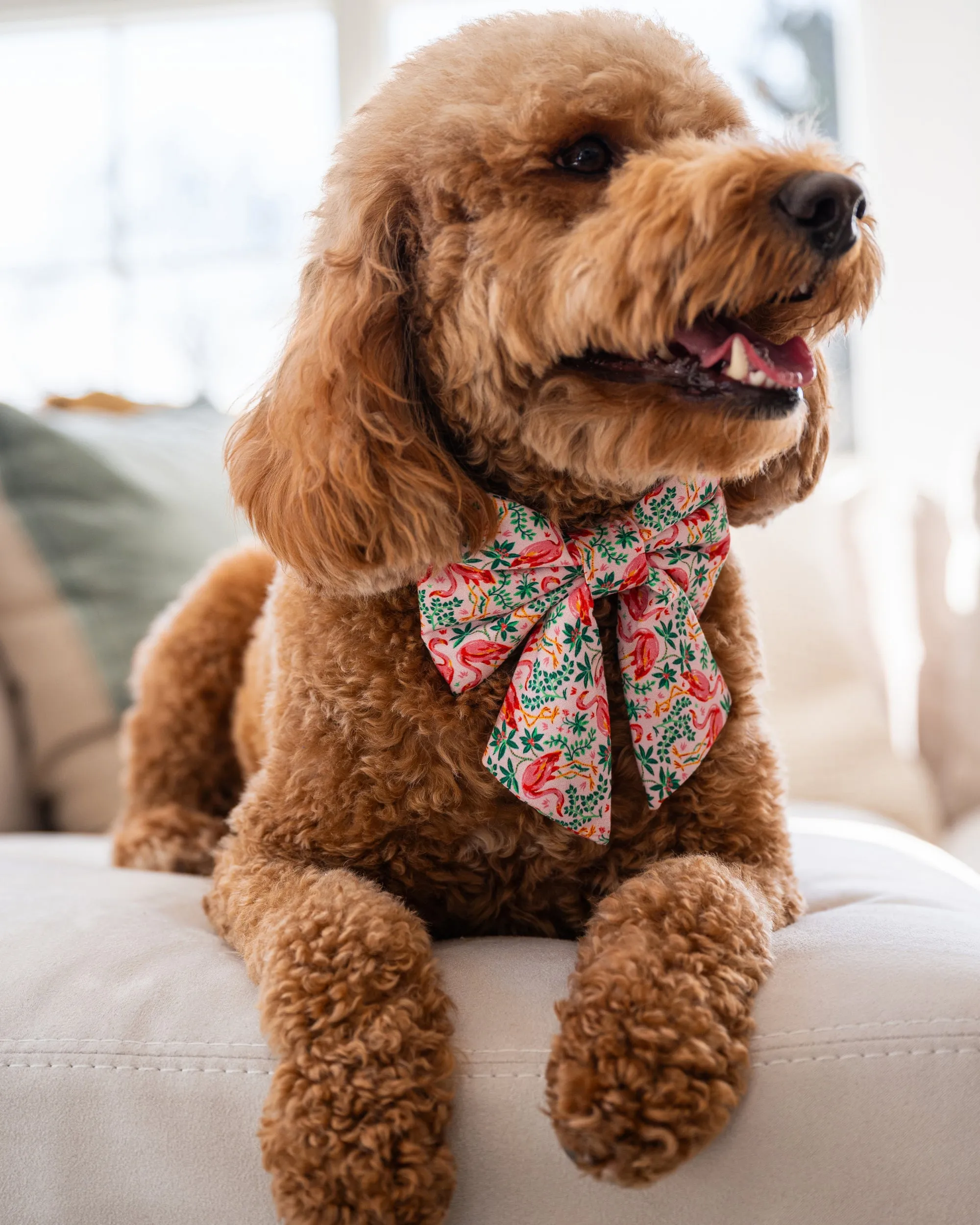 PF x The Foggy Dog Flock of Flamingos - Lady Dog Bow - Rose sold by Printfresh