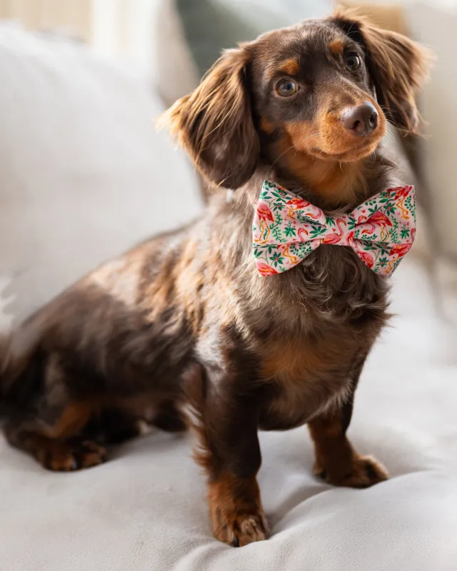 PF x The Foggy Dog Flock of Flamingos - Dog Bow Tie - Rose sold by Printfresh