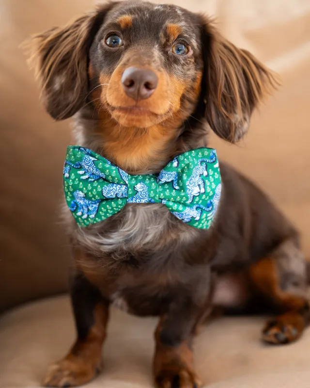 PF x The Foggy Dog Tiger Queen - Dog Bow Tie - Jade sold by Printfresh