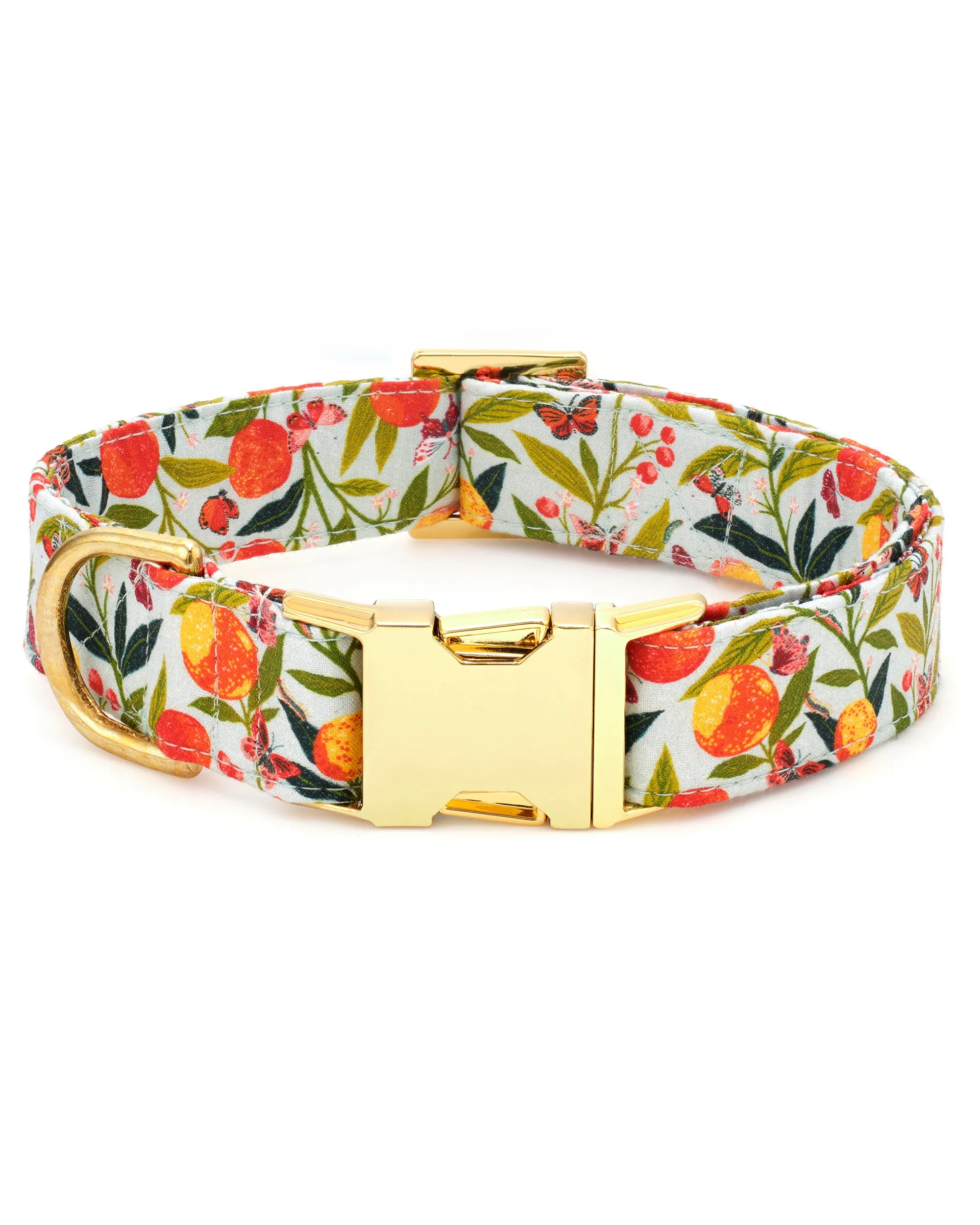 PF x The Foggy Dog Butterfly Grove - Dog Collar - Soft Blue sold by Printfresh product image thumbnail 4