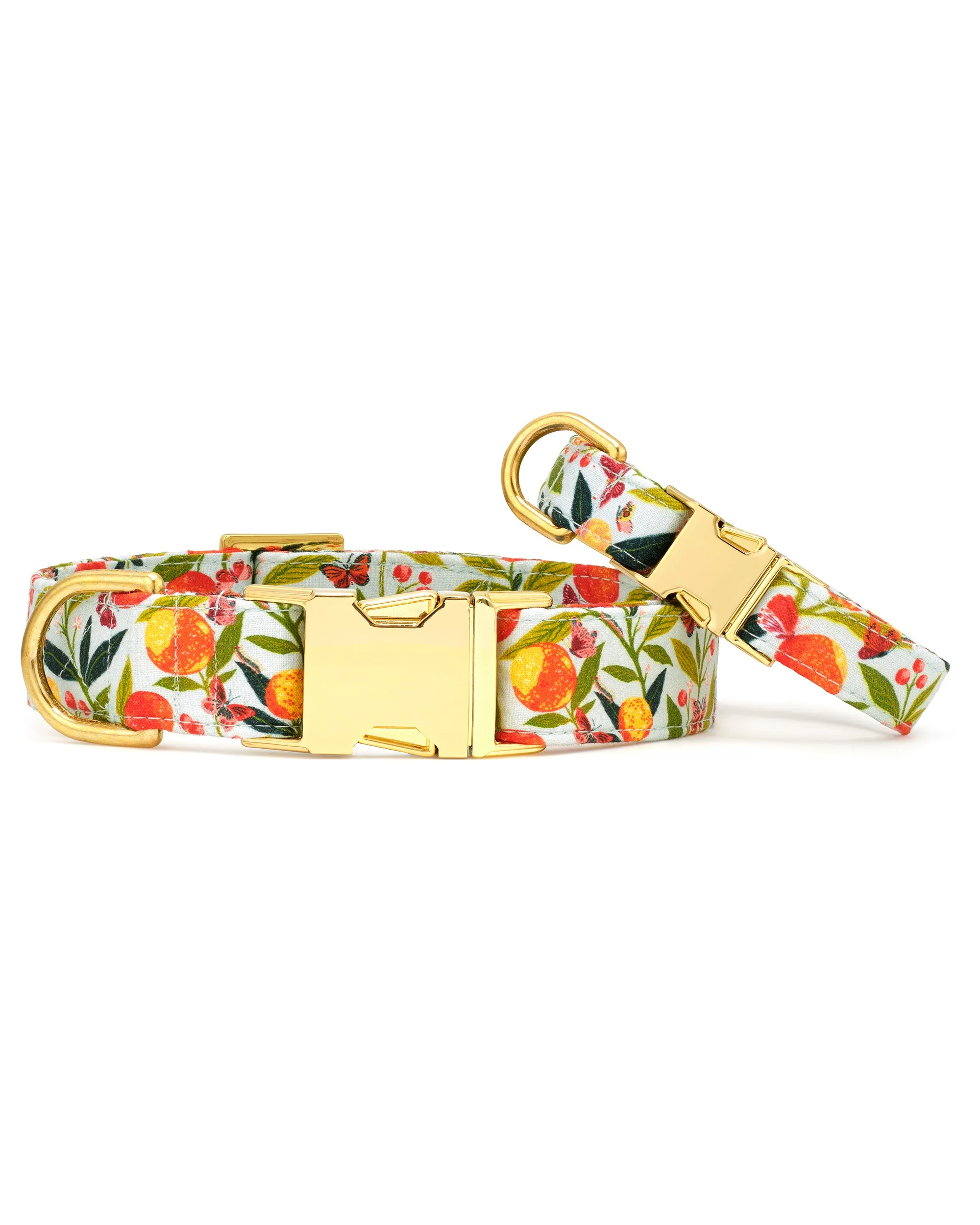 PF x The Foggy Dog Butterfly Grove - Dog Collar - Soft Blue sold by Printfresh