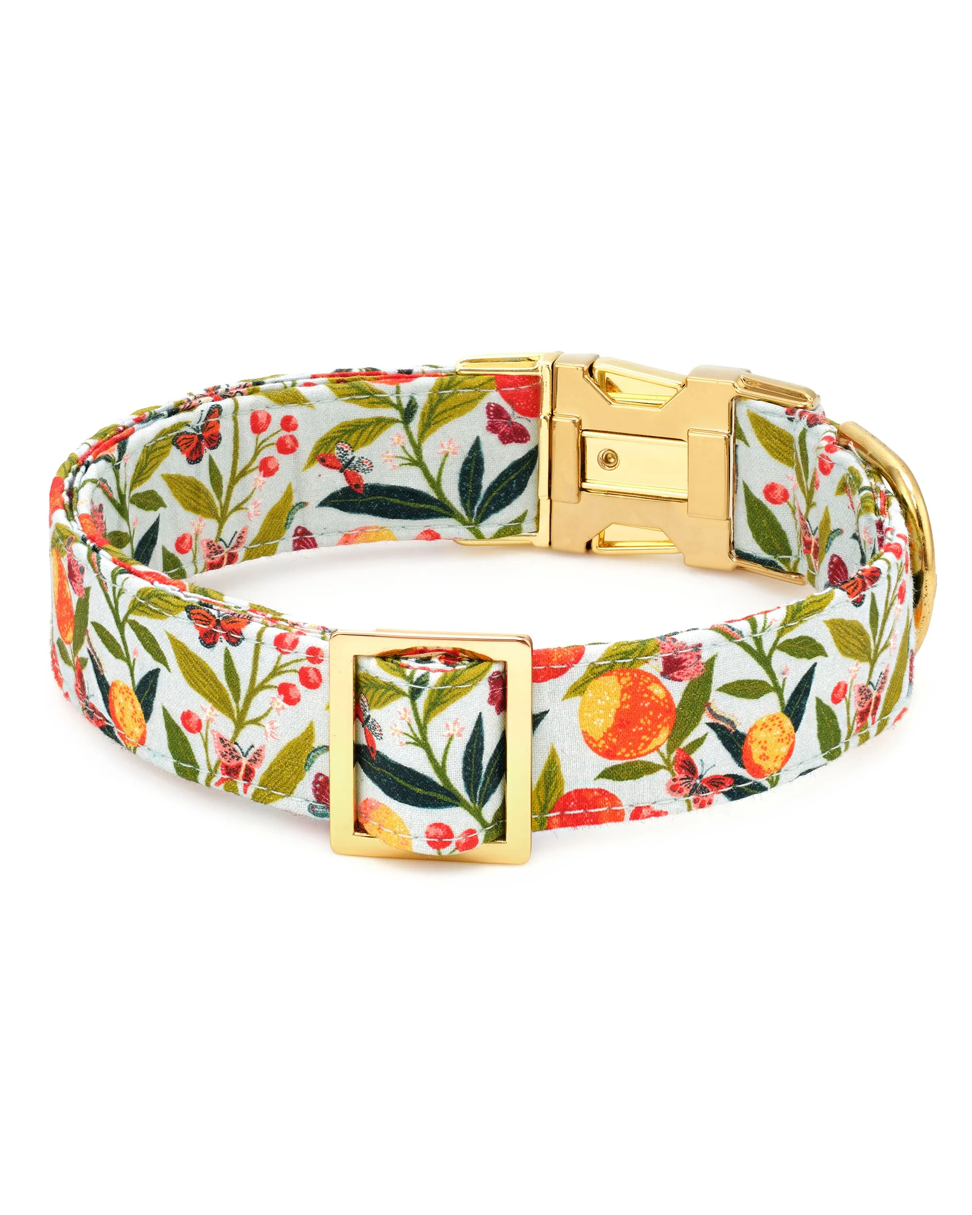 PF x The Foggy Dog Butterfly Grove - Dog Collar - Soft Blue sold by Printfresh product image thumbnail 3