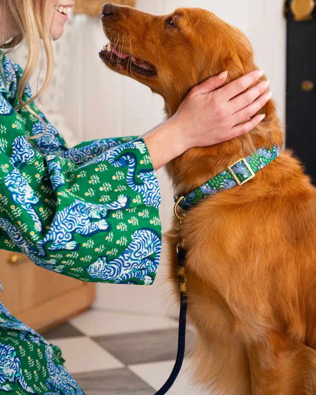 PF x The Foggy Dog Tiger Queen - Dog Collar - Jade sold by Printfresh