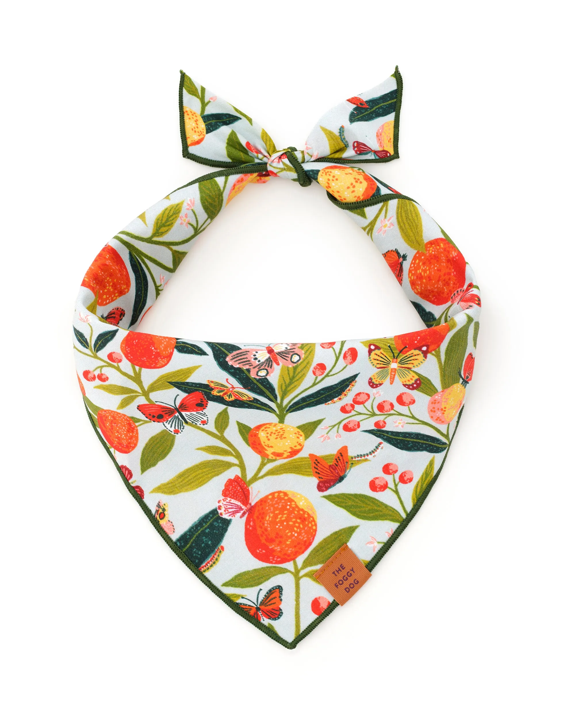 PF x The Foggy Dog Butterfly Grove - Dog Bandana - Soft Blue sold by Printfresh product image thumbnail 3