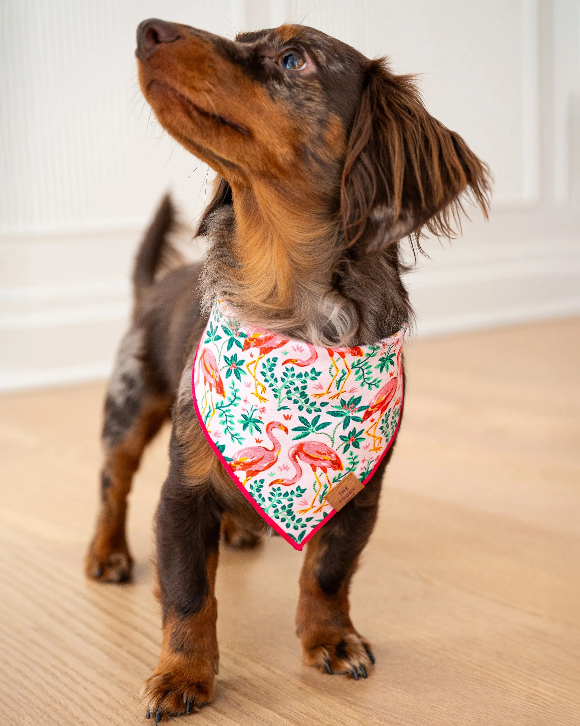 PF x The Foggy Dog Flock of Flamingos - Dog Bandana - Rose sold by Printfresh