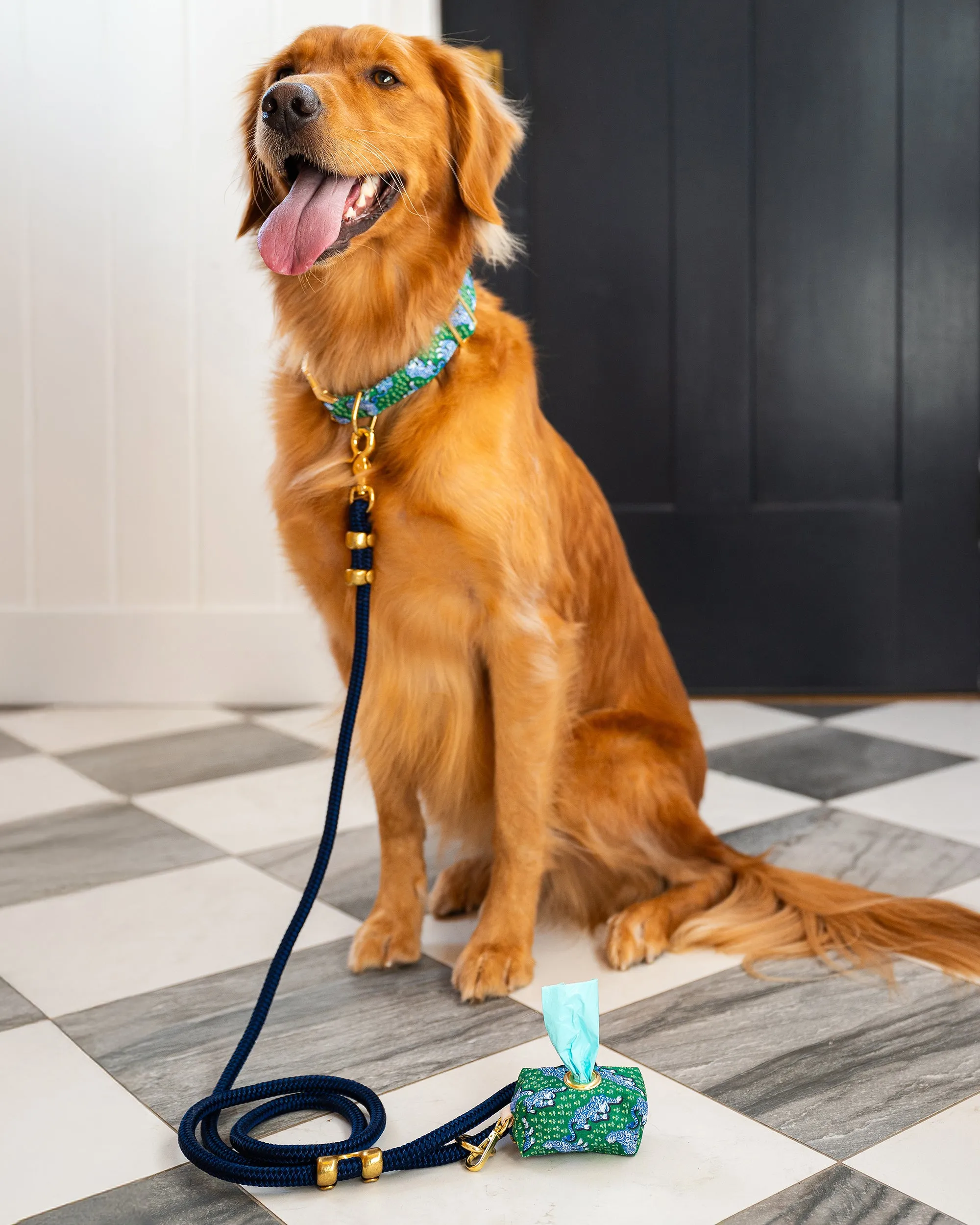 PF x The Foggy Dog Tiger Queen - Walk Set Bundle - Multi sold by Printfresh product image thumbnail 3