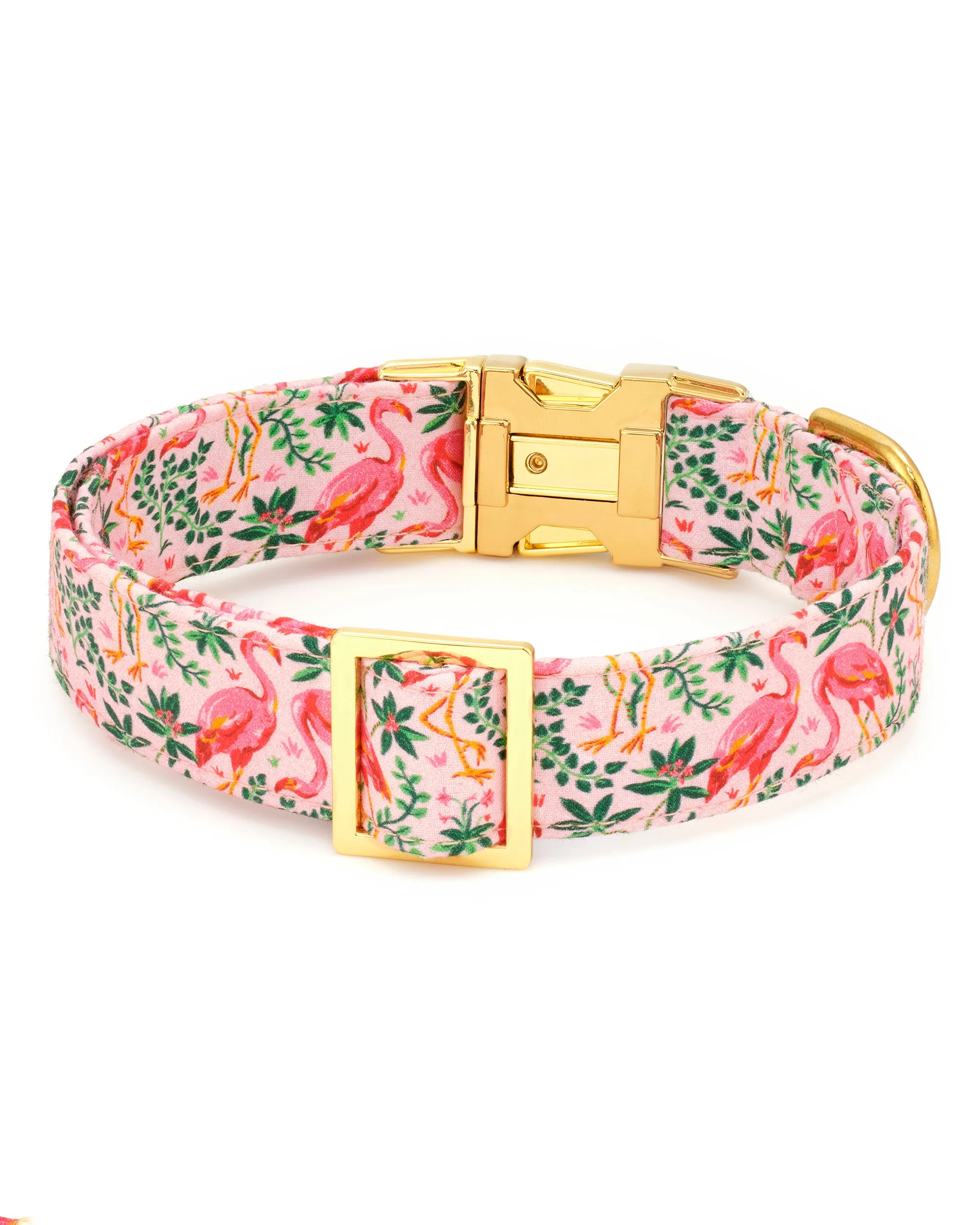 PF x The Foggy Dog Flock of Flamingos - Dog Collar - Rose sold by Printfresh product image thumbnail 3
