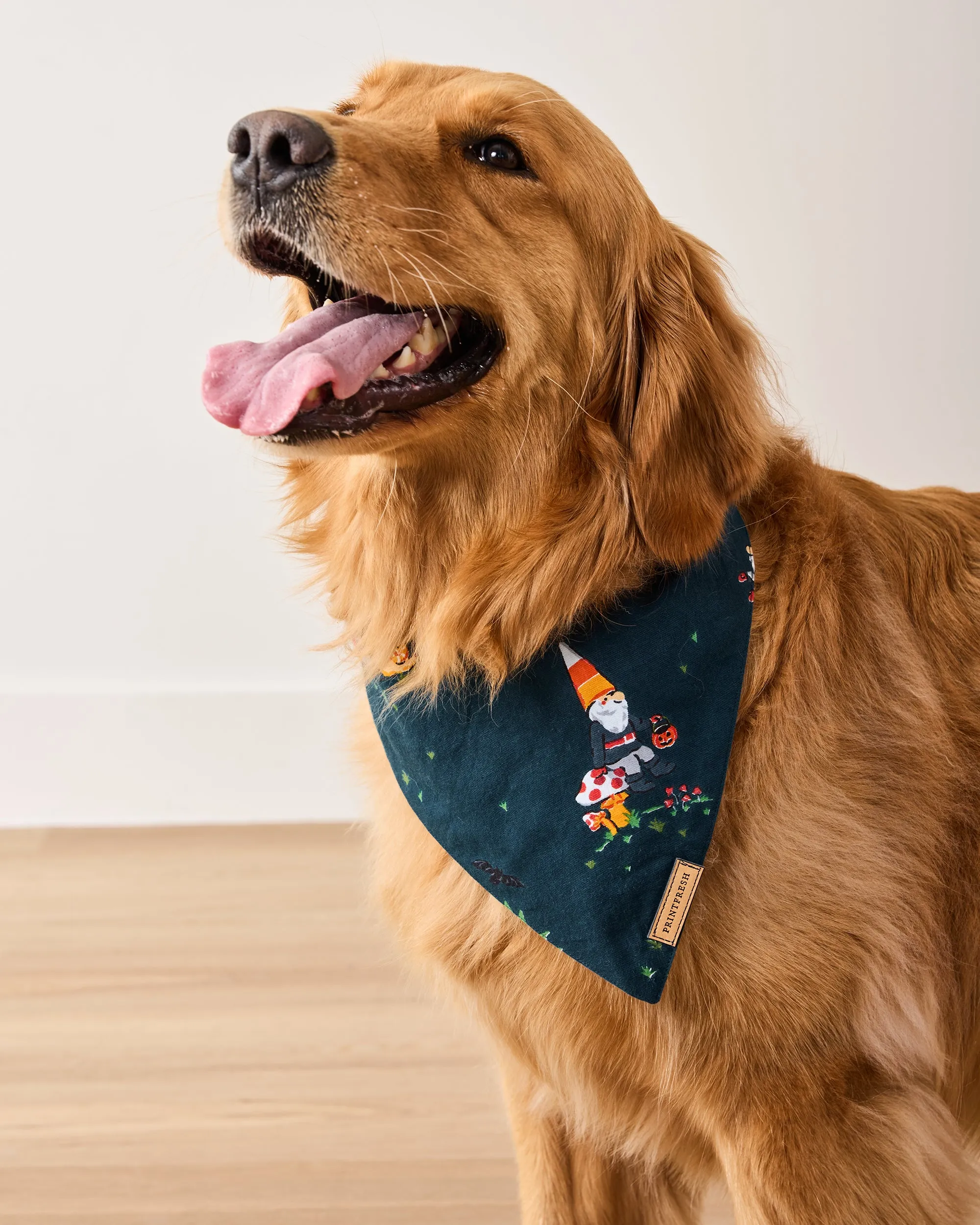 Mischief Night - Pet Bandana - Nightfall Blue sold by Printfresh product image thumbnail 3