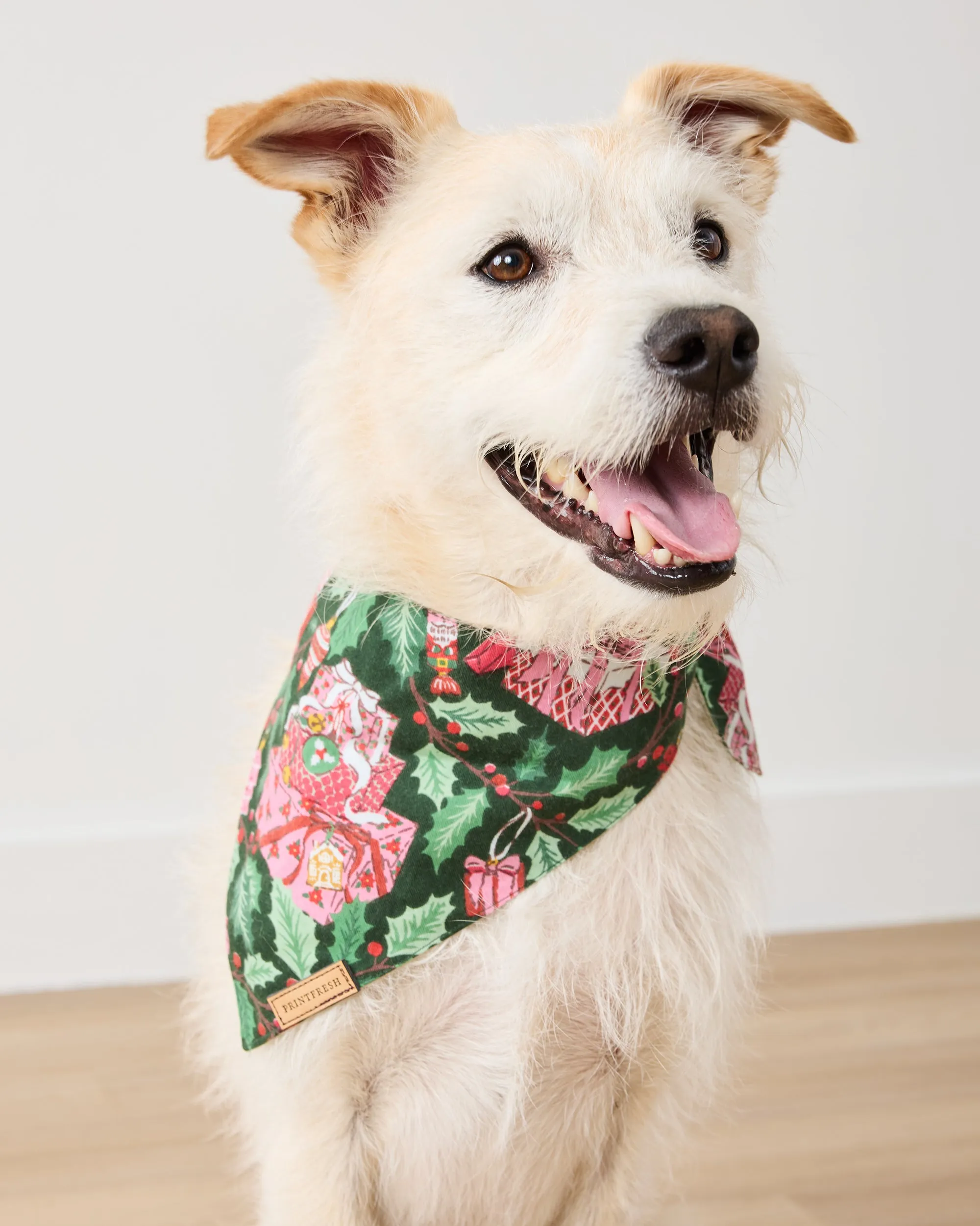 Holly Gifts - Lightweight Flannel Pet Bandana - Garland sold by Printfresh