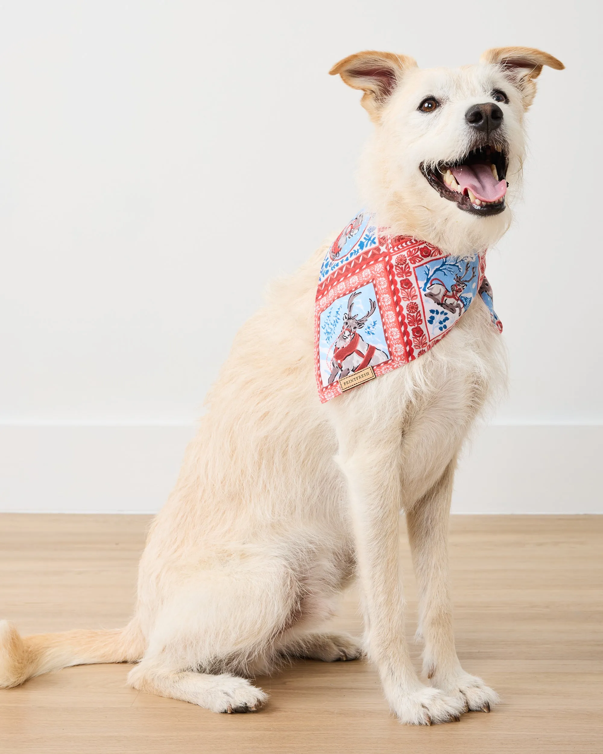 Reindeer Games - Lightweight Flannel Pet Bandana - Red Sleigh sold by Printfresh product image thumbnail 3