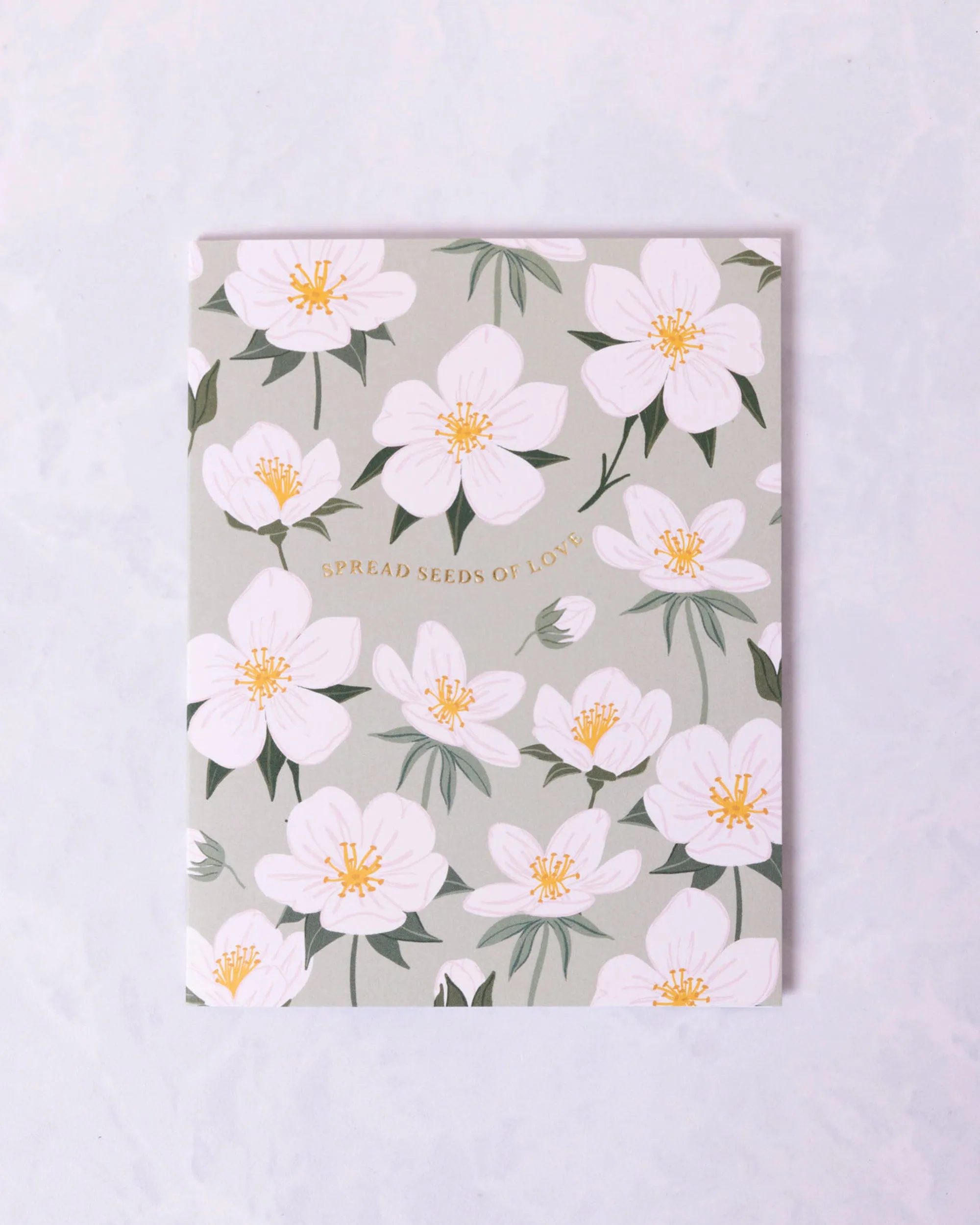 Green - Spread Seeds of Love Card - Paper Farm Press sold by Printfresh product image thumbnail 3