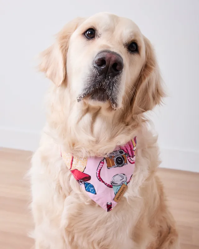 Emotional Baggage - Pet Bandana - Happy Place Pink made by Printfresh