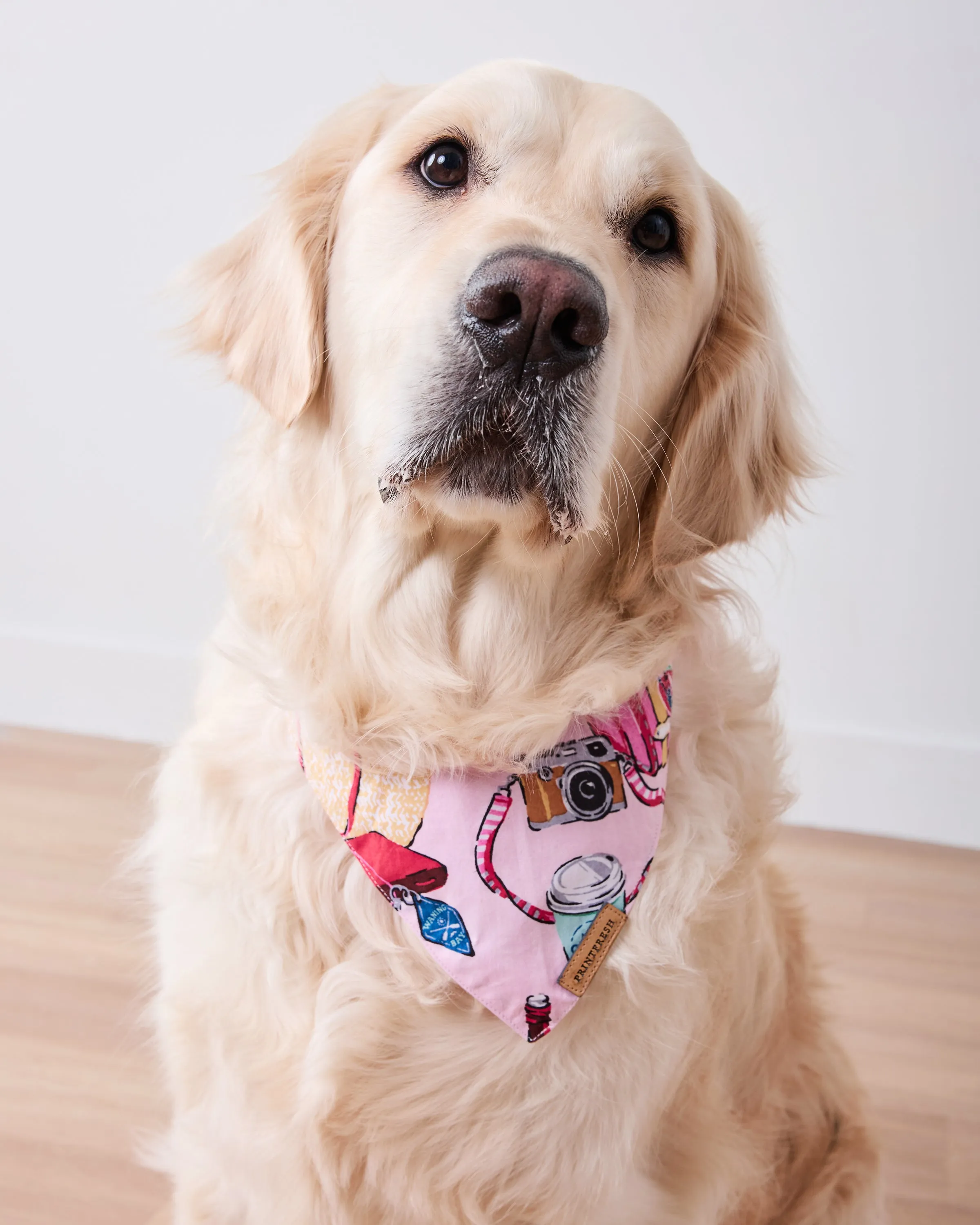 Emotional Baggage - Pet Bandana - Happy Place Pink sold by Printfresh