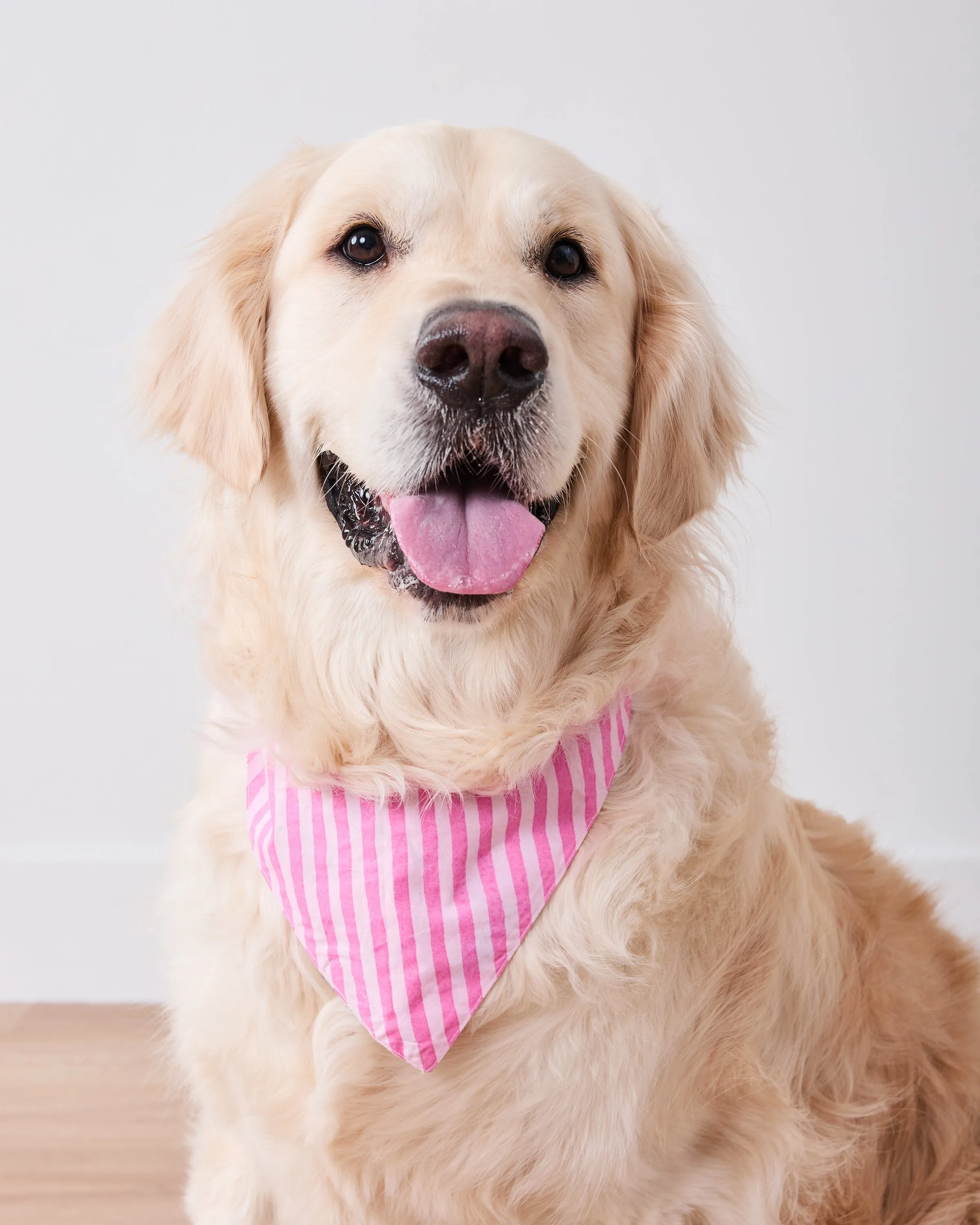Emotional Baggage - Pet Bandana - Happy Place Pink sold by Printfresh product image thumbnail 2
