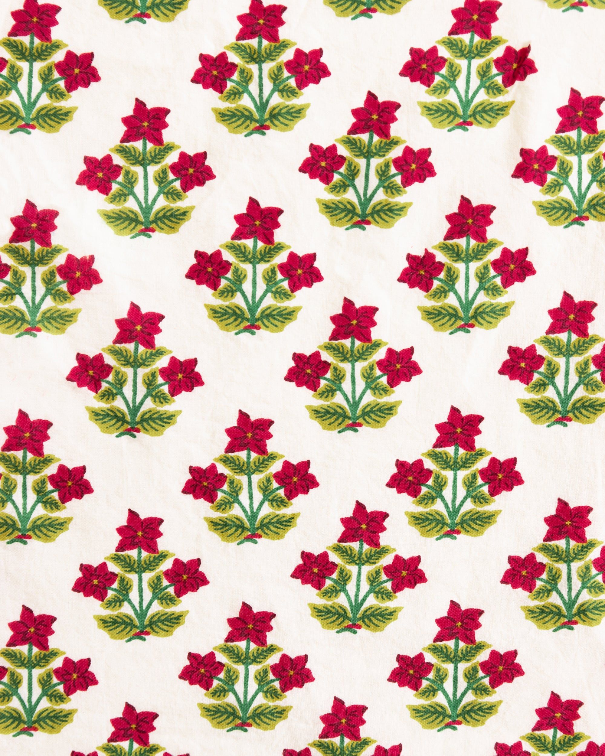 Pretty in Poinsettia - T-Shirt and Cropped Pajama Pants Bundle - Cream/Light Blush sold by Printfresh product image thumbnail 4