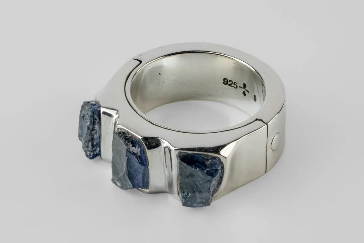 Sistema Ring (Terrestrial Surfaced, 3 Tanzanites, 9mm, PA+TAN) sold by Parts of Four
