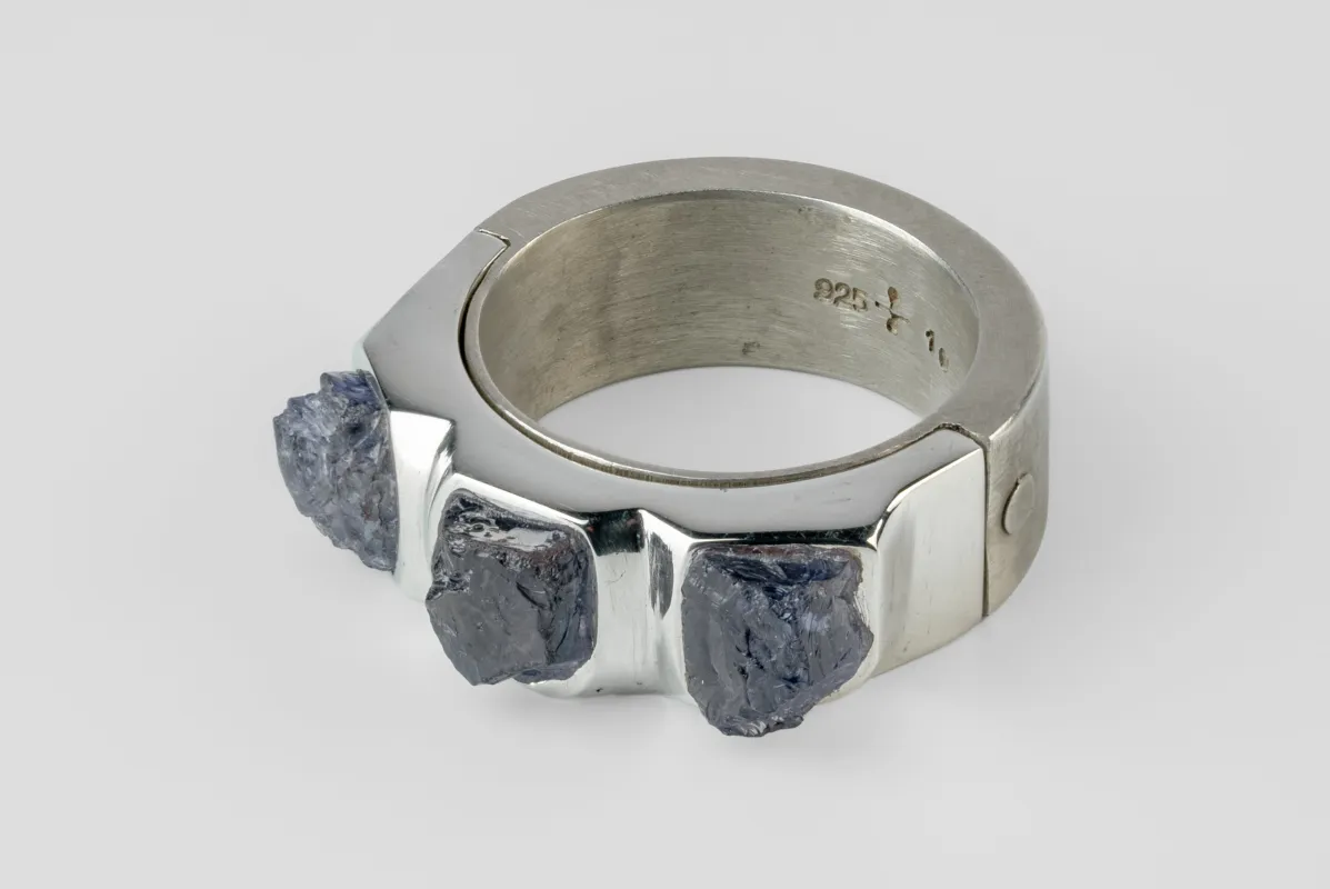 Sistema Ring (Terrestrial Surfaced, 3 Tanzanites, 9mm, DA+PA+TAN) sold by Parts of Four