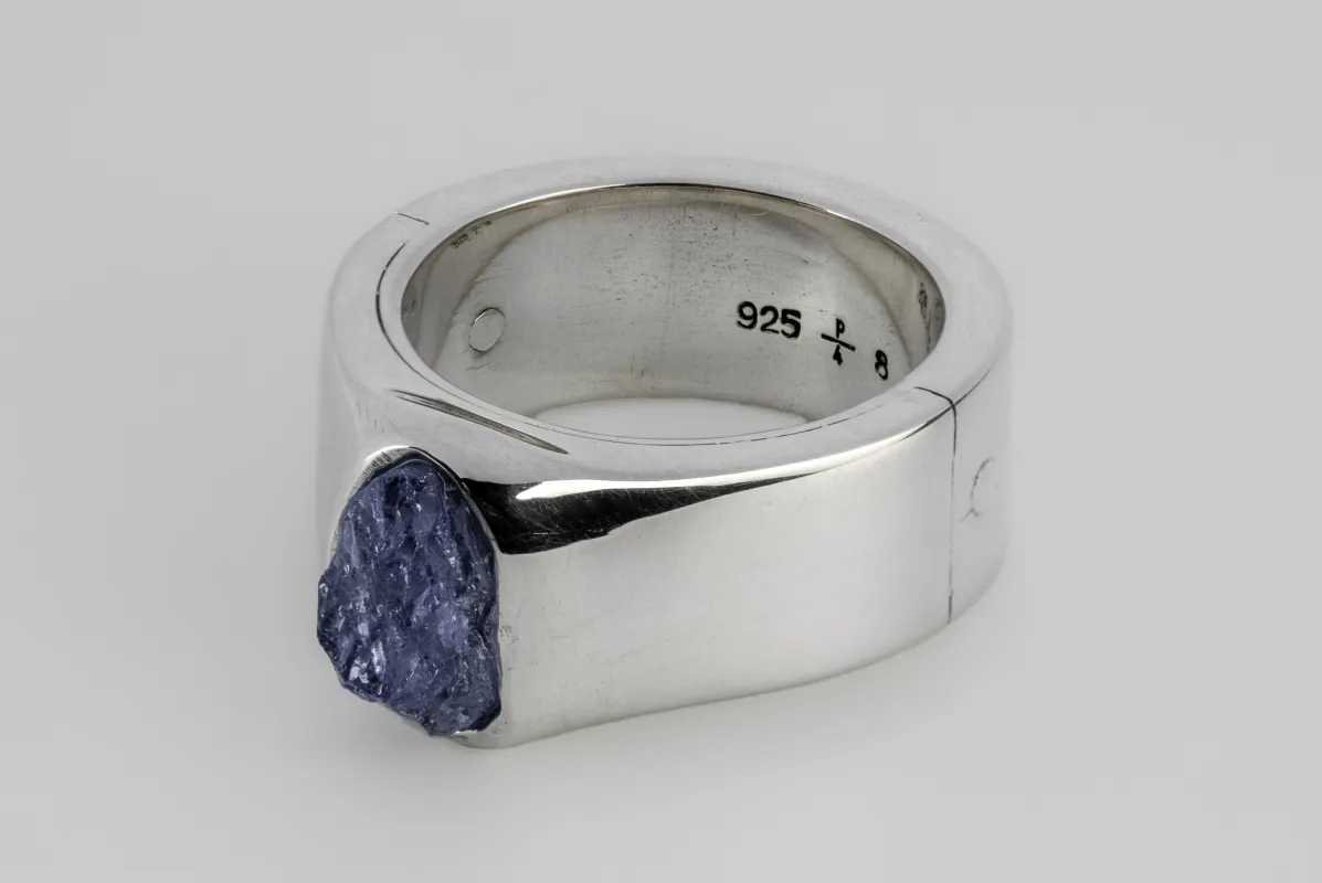 Sistema Ring (Terrestrial Surfaced, Expanded, 9mm, Tanzanite, PA+TAN) sold by Parts of Four