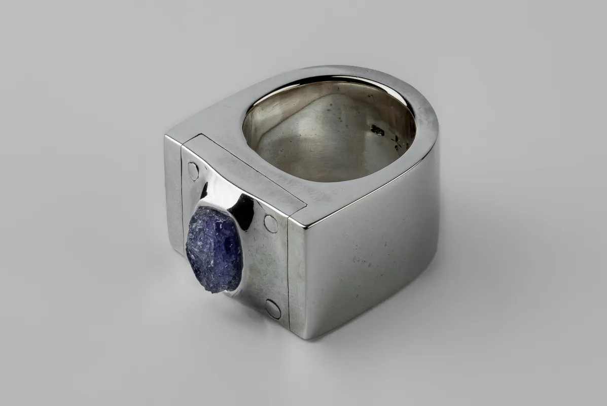 Plate Ring Single (Terrestrial Surfaced, Tanzanite, 17mm, PA+TAN) sold by Parts of Four