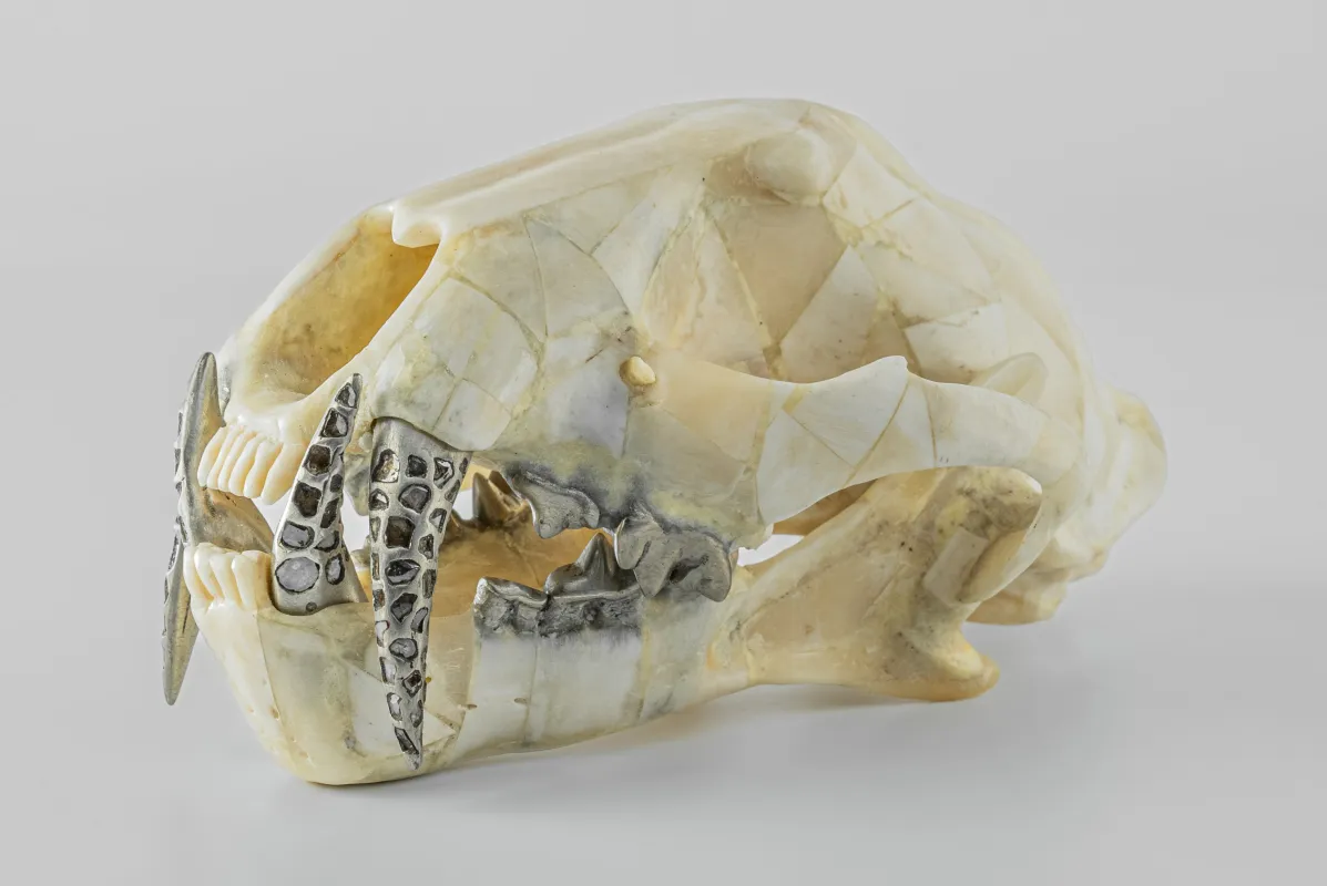Leopard Skull (Fangs Mega Pavé, MB+MZ+DIA) sold by Parts of Four