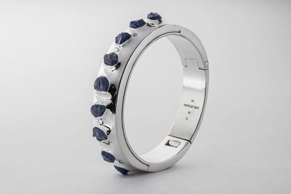 Sistema Bracelet v2 (Terrestrial, Raised Terraform, Tanzanite, 17mm, PA+TAN) sold by Parts of Four